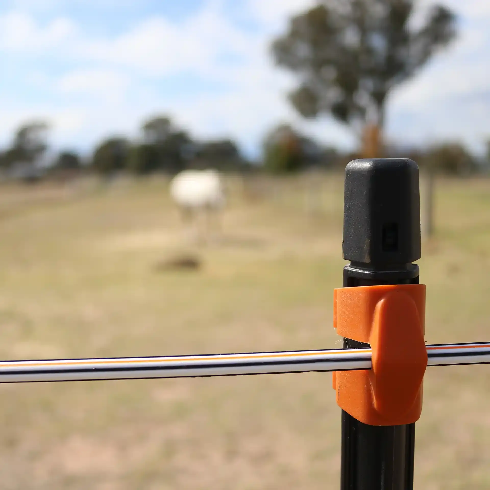 TurboStar Equifence wit 250m (5)