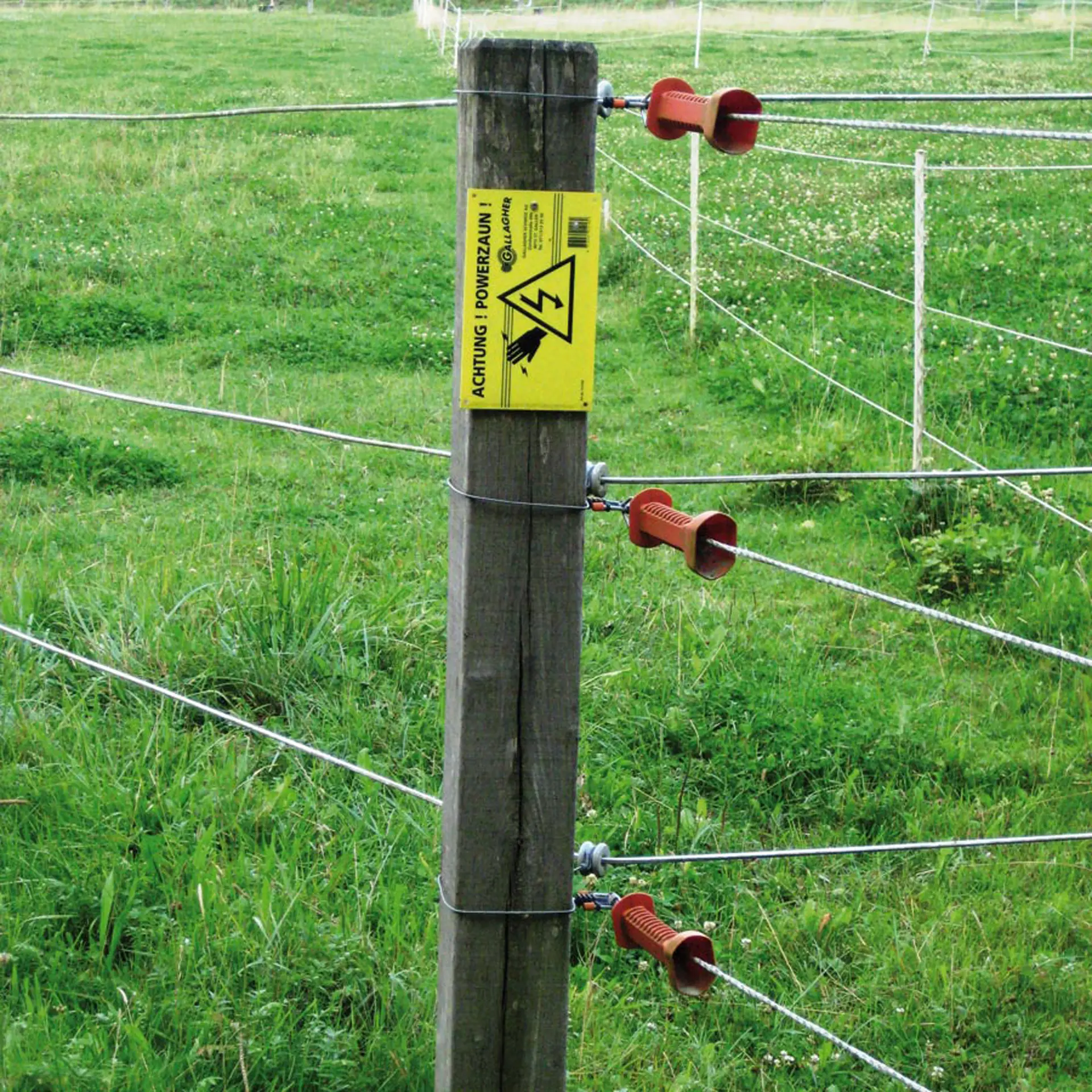 Elastisch touw, wit, 50 meter (2)