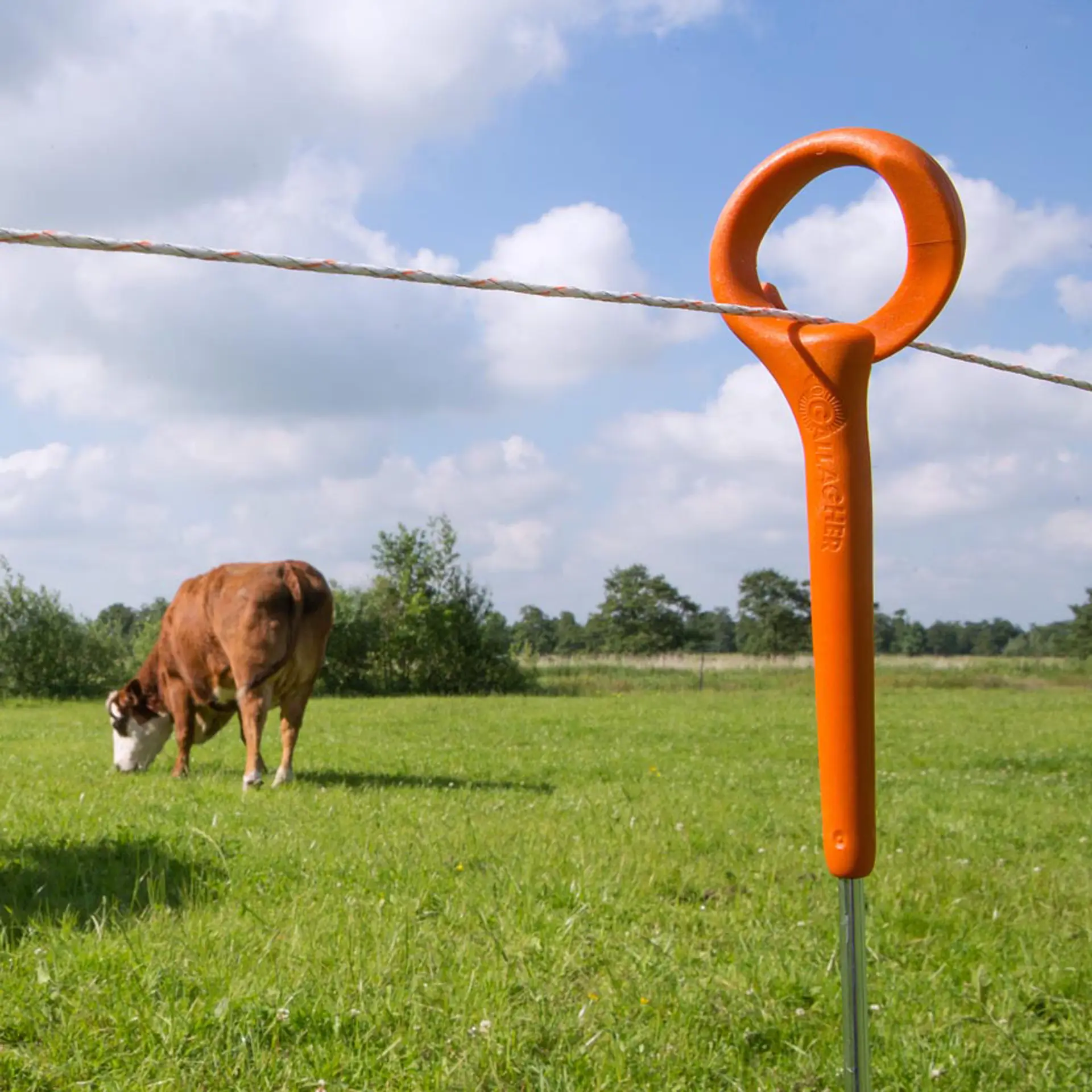 Ring Top paal 1,00m (10) (6)