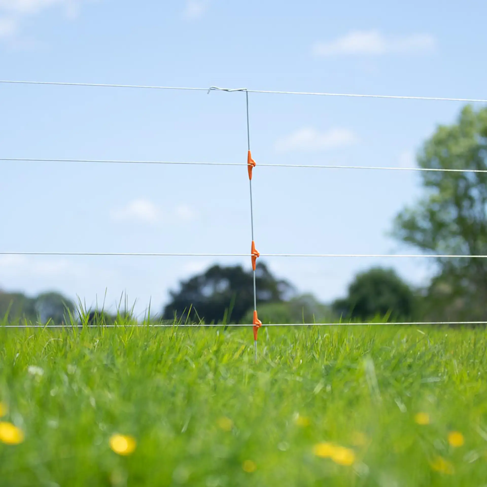 Gallagher gesoleerde lijnpaal 0,95m 5-draads (10) (5)
