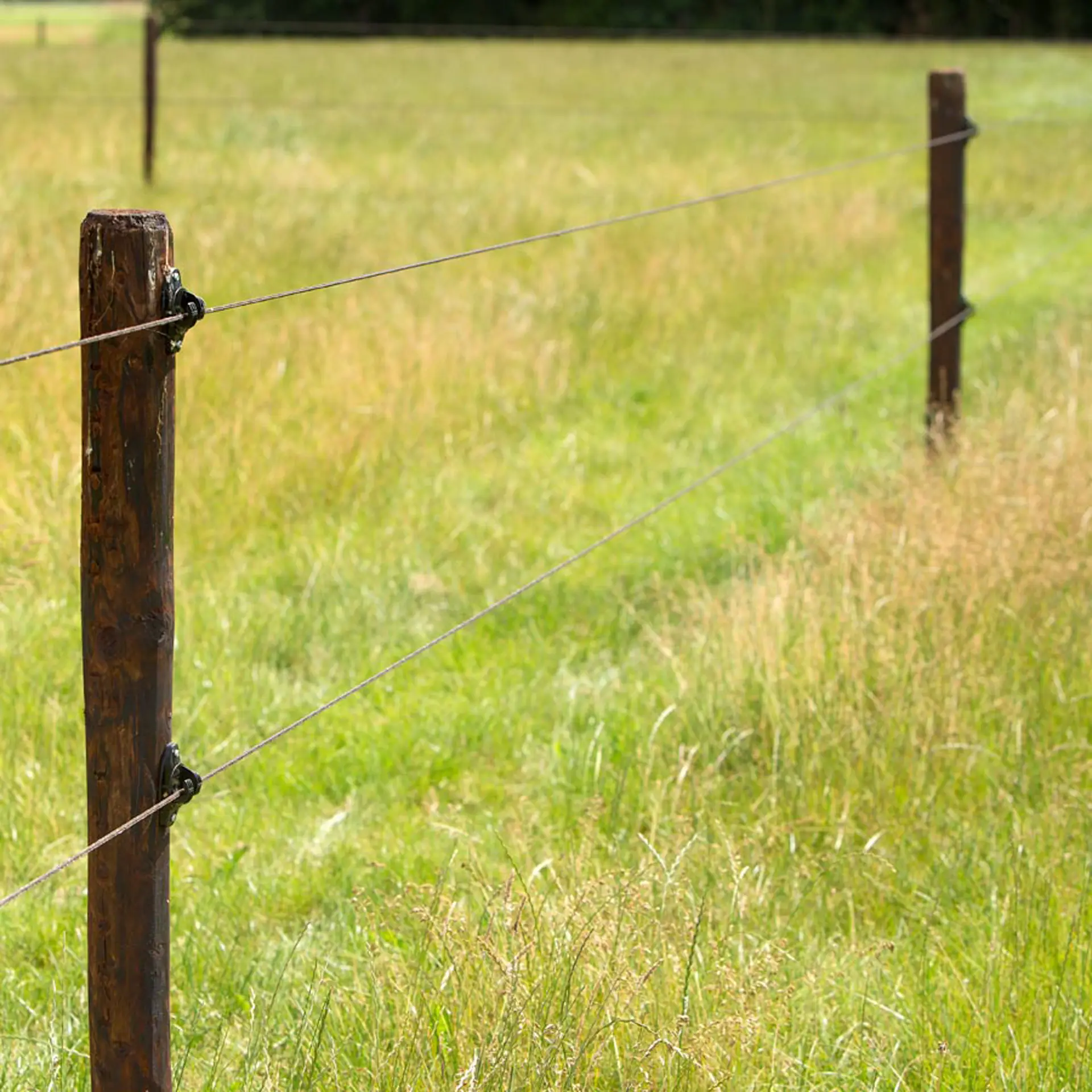 Houten paal "W" Superzwarte zak (1000) Niet op voorraad (4)