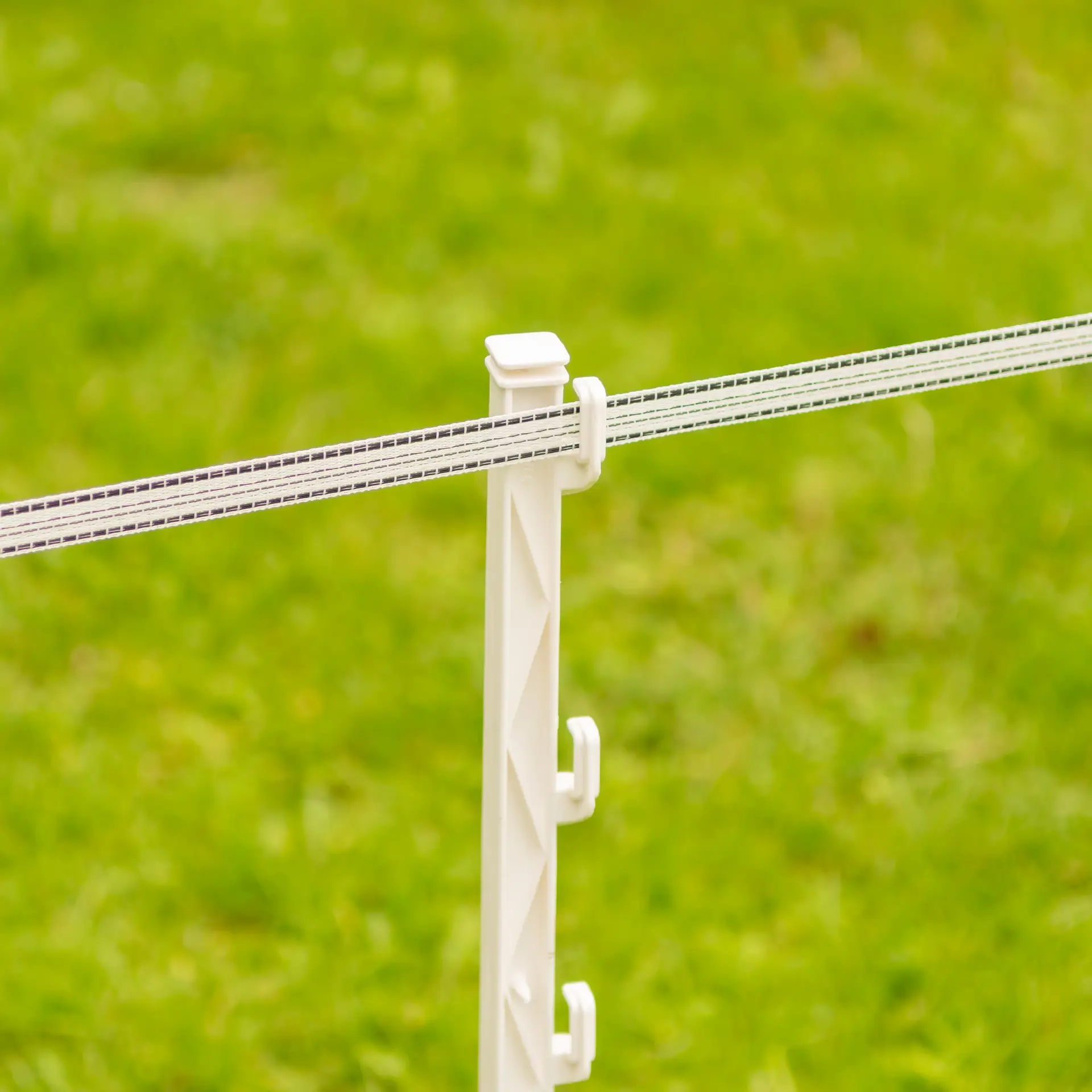 PowerLine tape 20 mm wit 200 m (3)