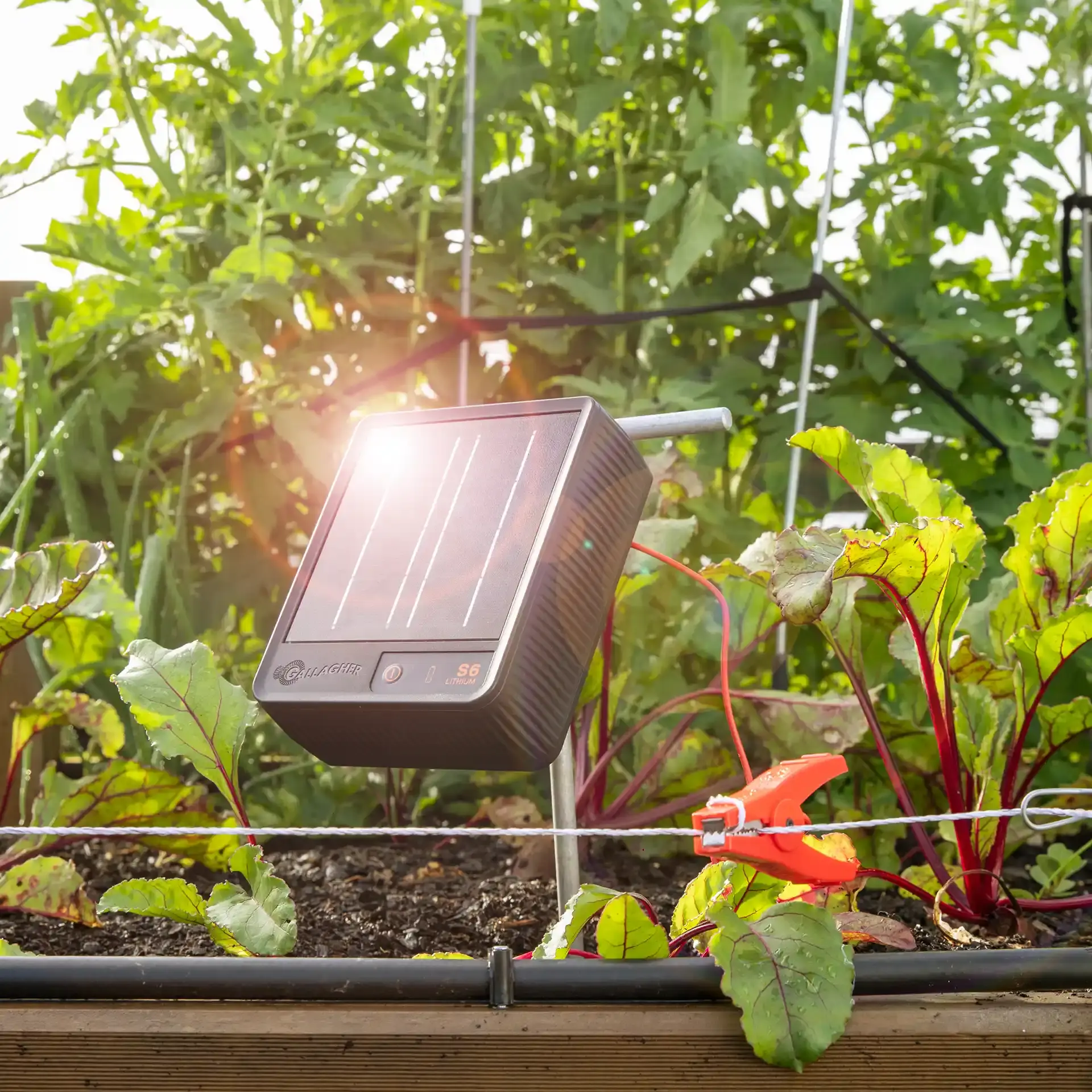 Tuin- en vijverset 50 cm S6 Solar (7)