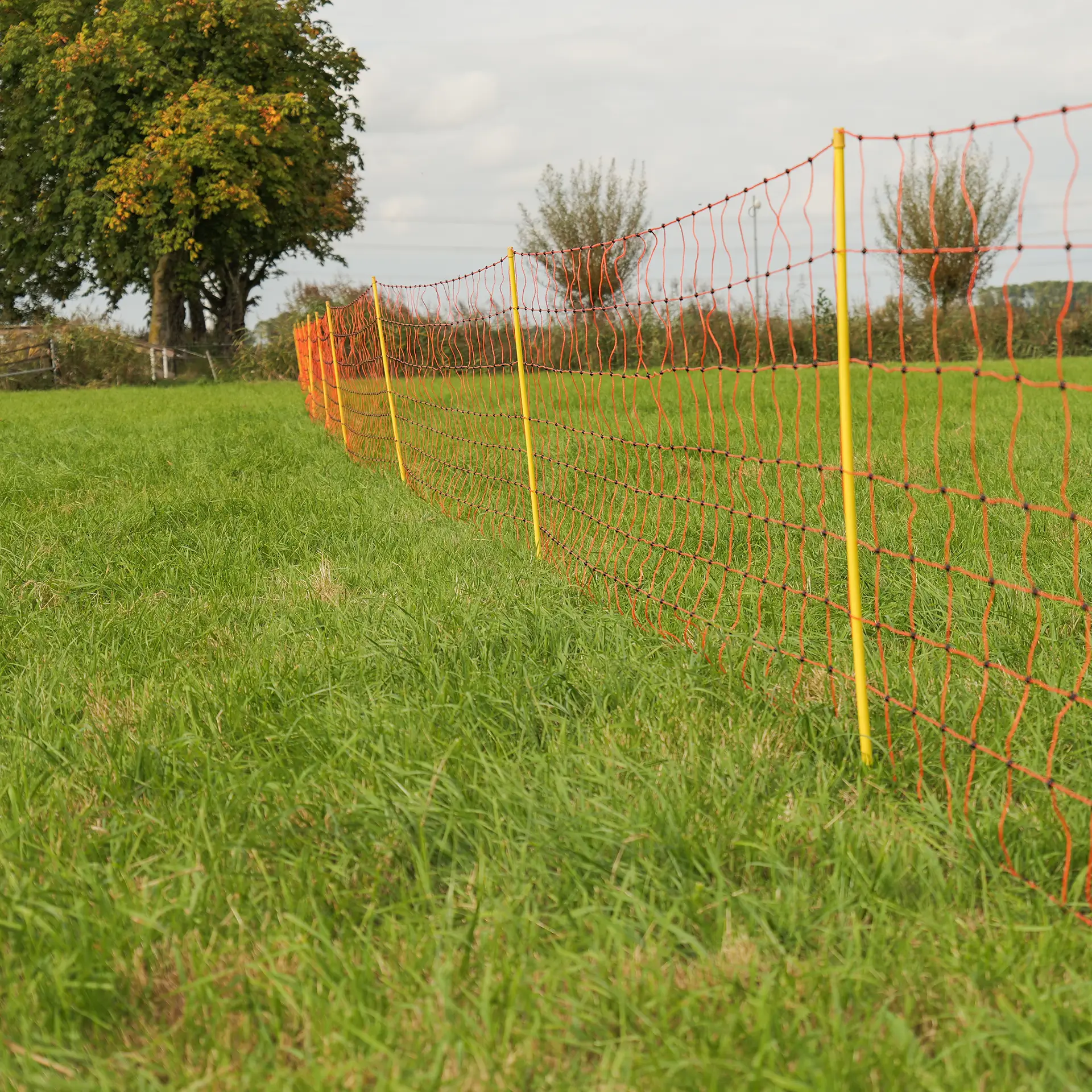 Schapennet, Oranje 90/2-14/Y-50m (4)