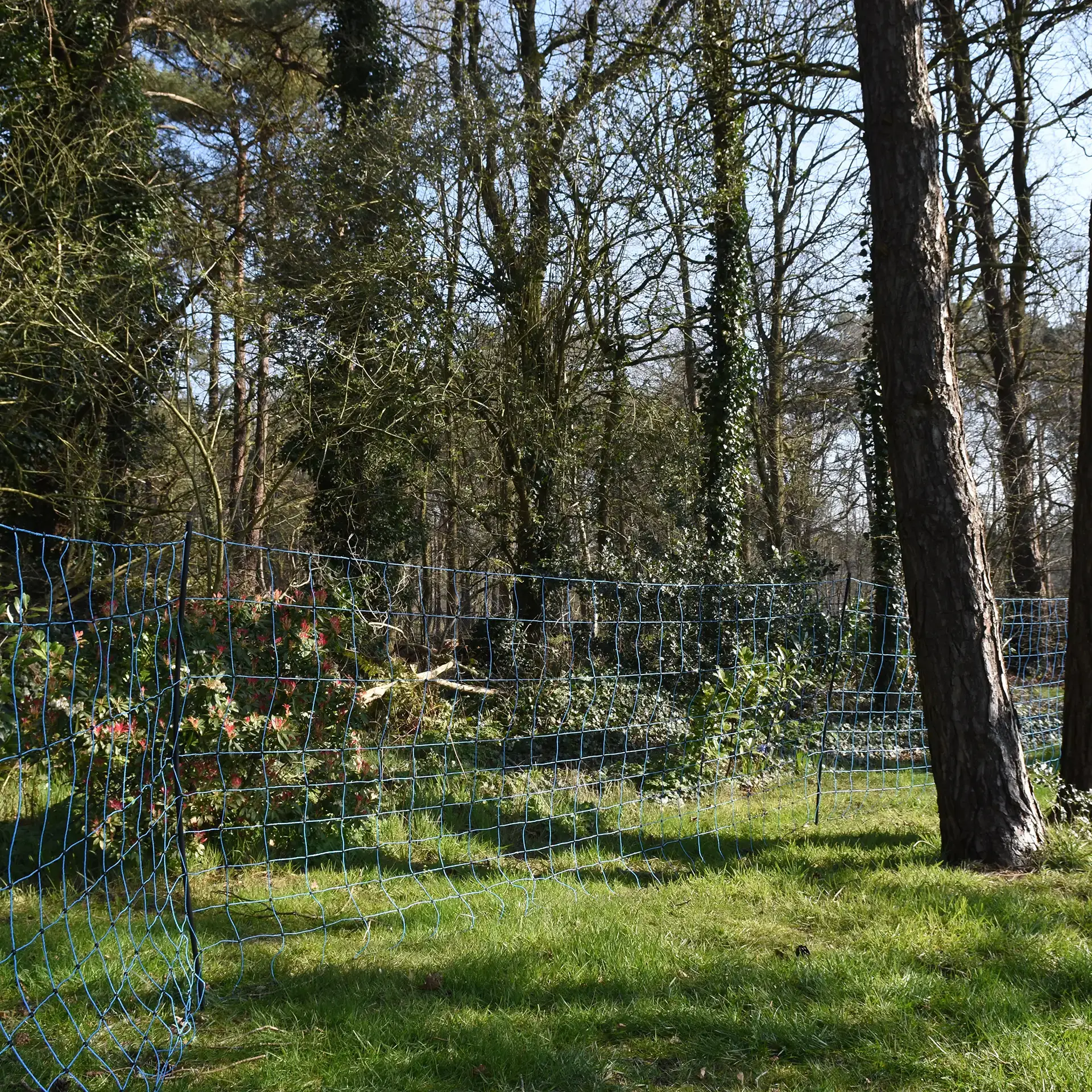 Wolf-net, blauw 120/1W14/B-50m (3)
