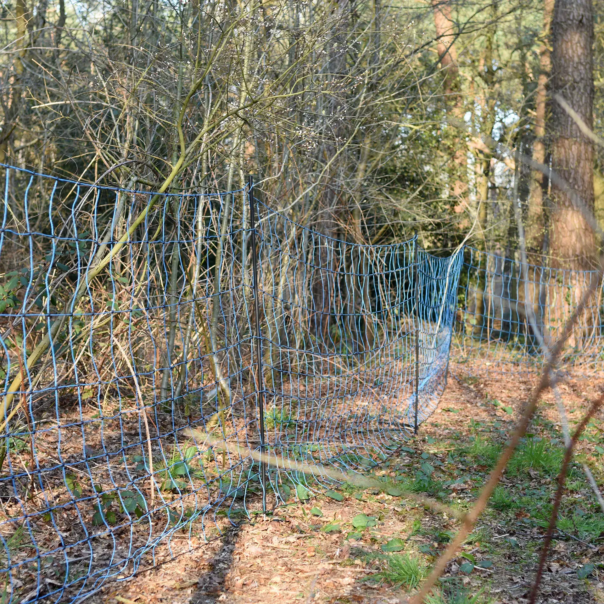 Wolf-net, blauw 120/1W14/B-50m (5)