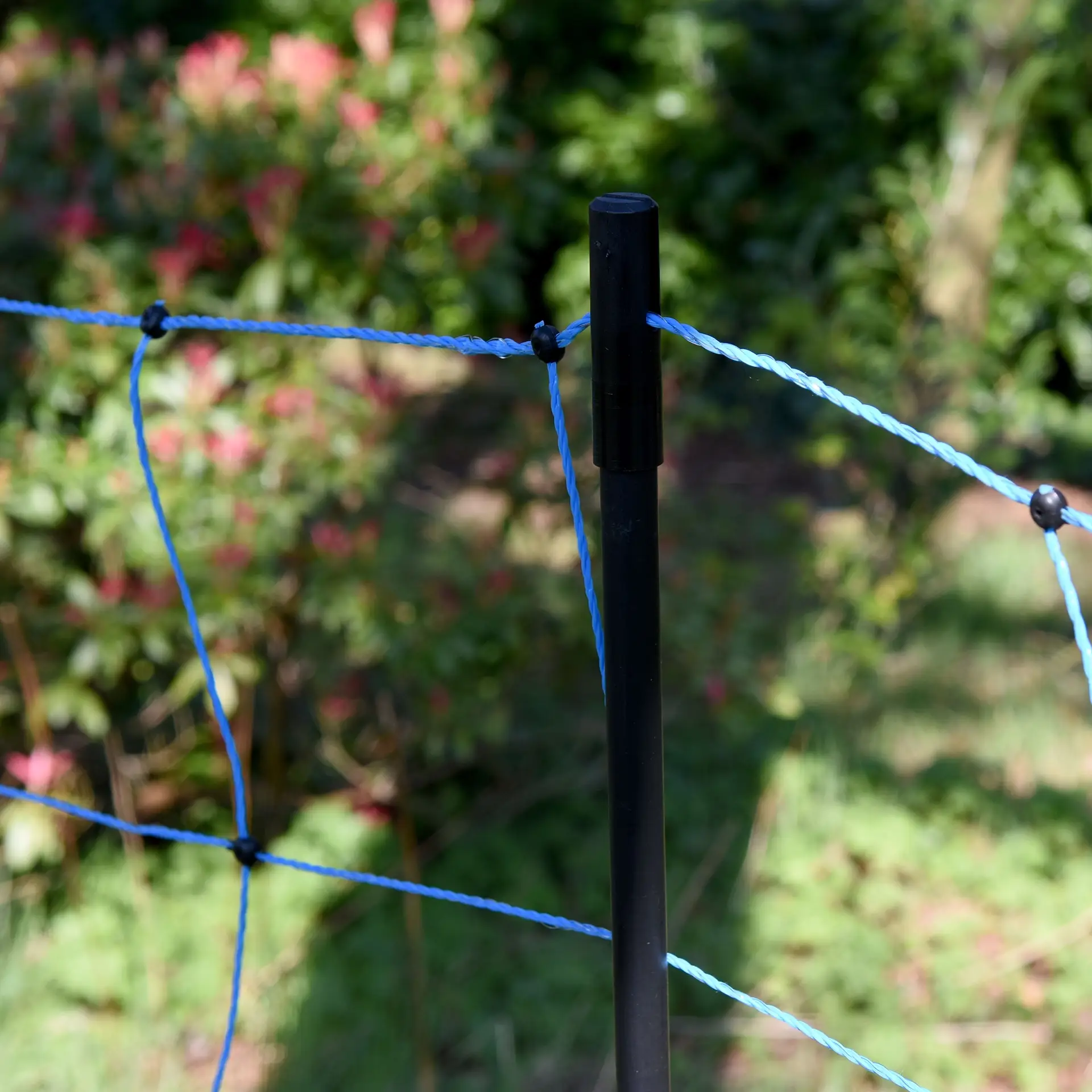 Wolf-net, blauw 120/1W14/B-50m (6)