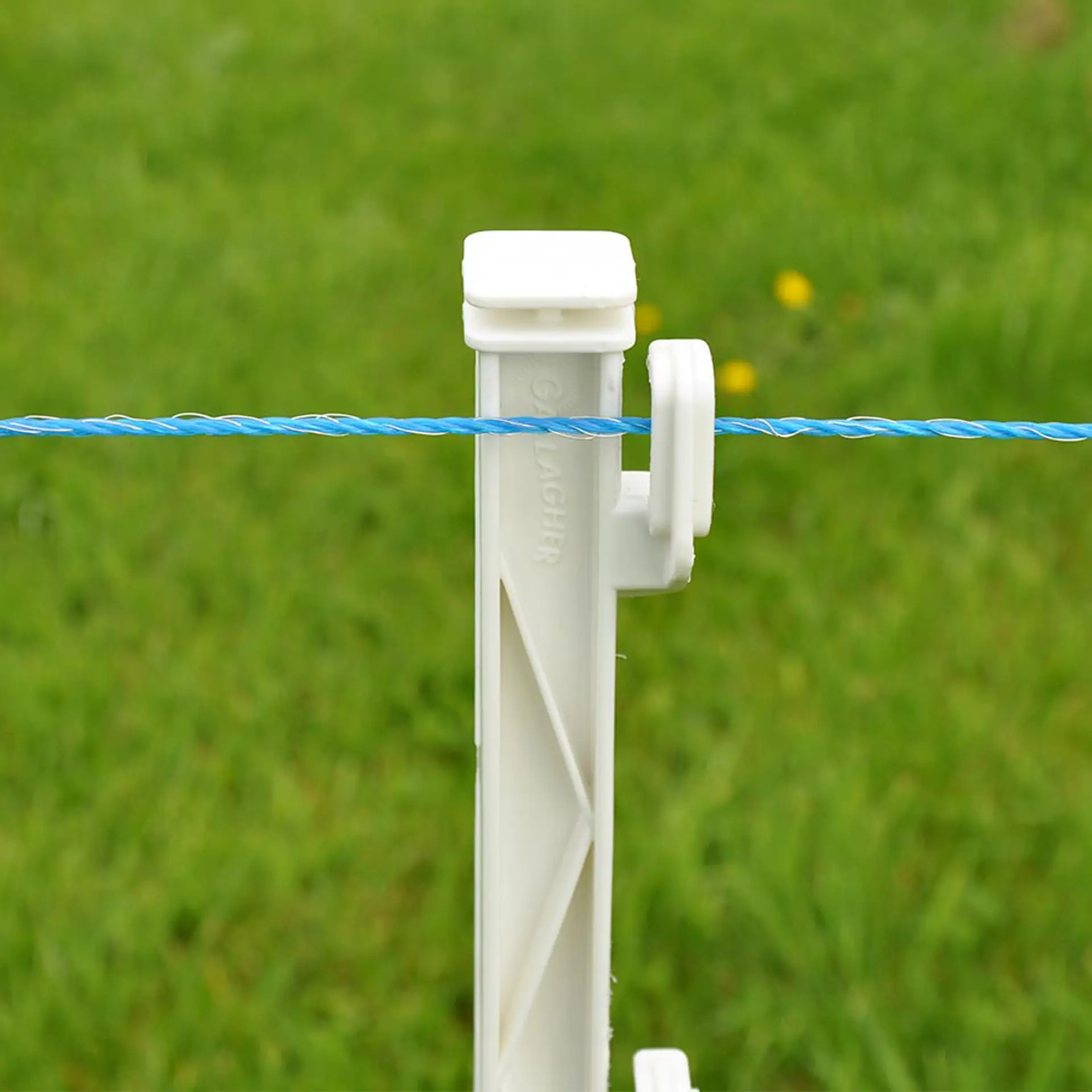 TurboLine blauwe polywire 400m (4)