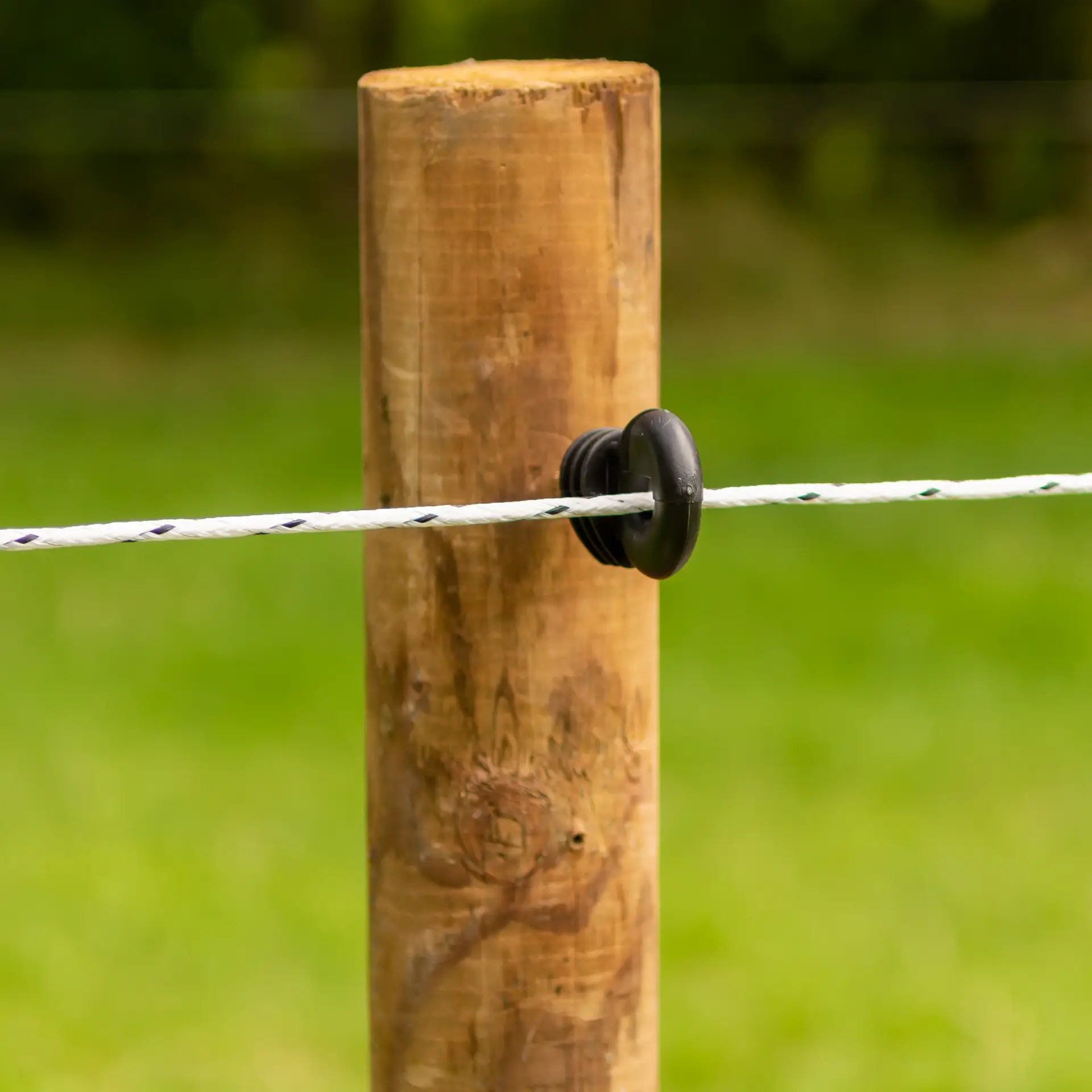 Gevlochten PowerLine-touw, wit, 500 meter (3)