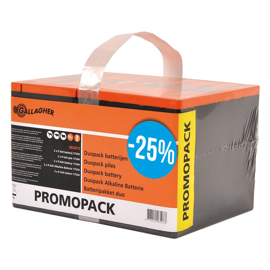 Duopack alkalinebatterijen 2x 9V/175Ah - 190x125x160mm