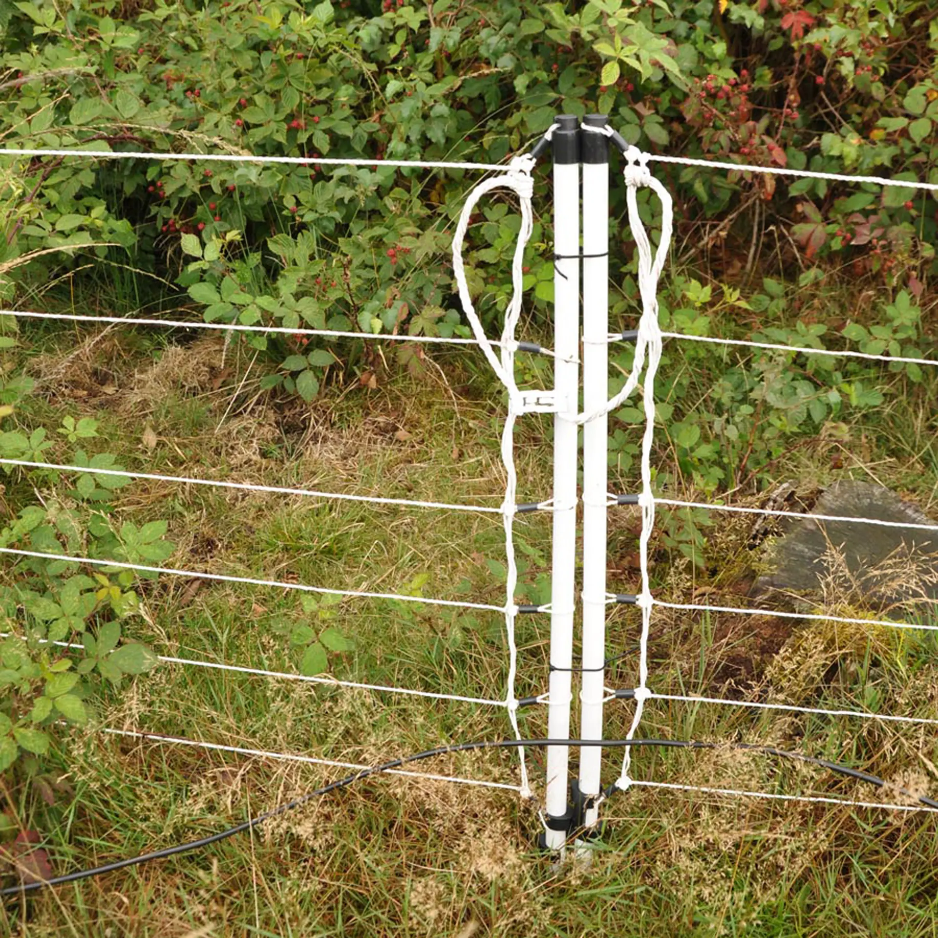 Wildzwijnnetten, wit 75/1-14/W-50m (11)