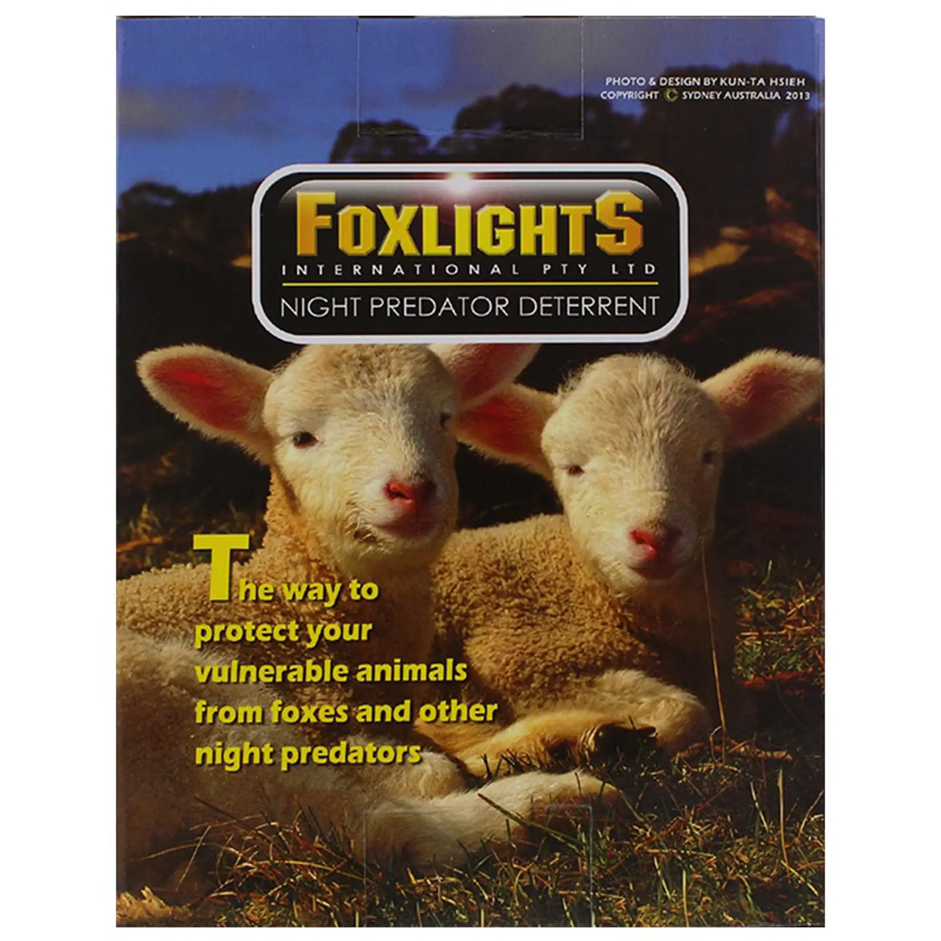 FoxlightS (7)