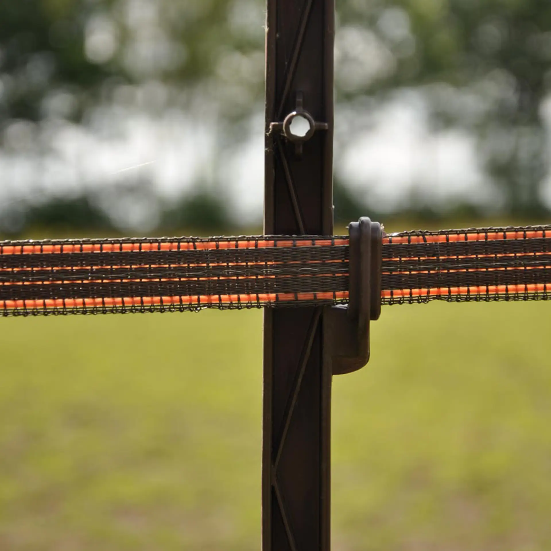 Duopack Paardenpaal terra 1,55m (2x5) (3)
