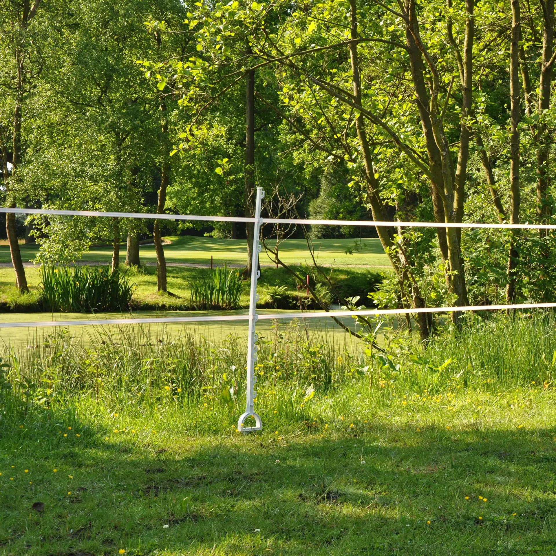 Duopack Paardenpaal wit 1,55m (2x5) (4)