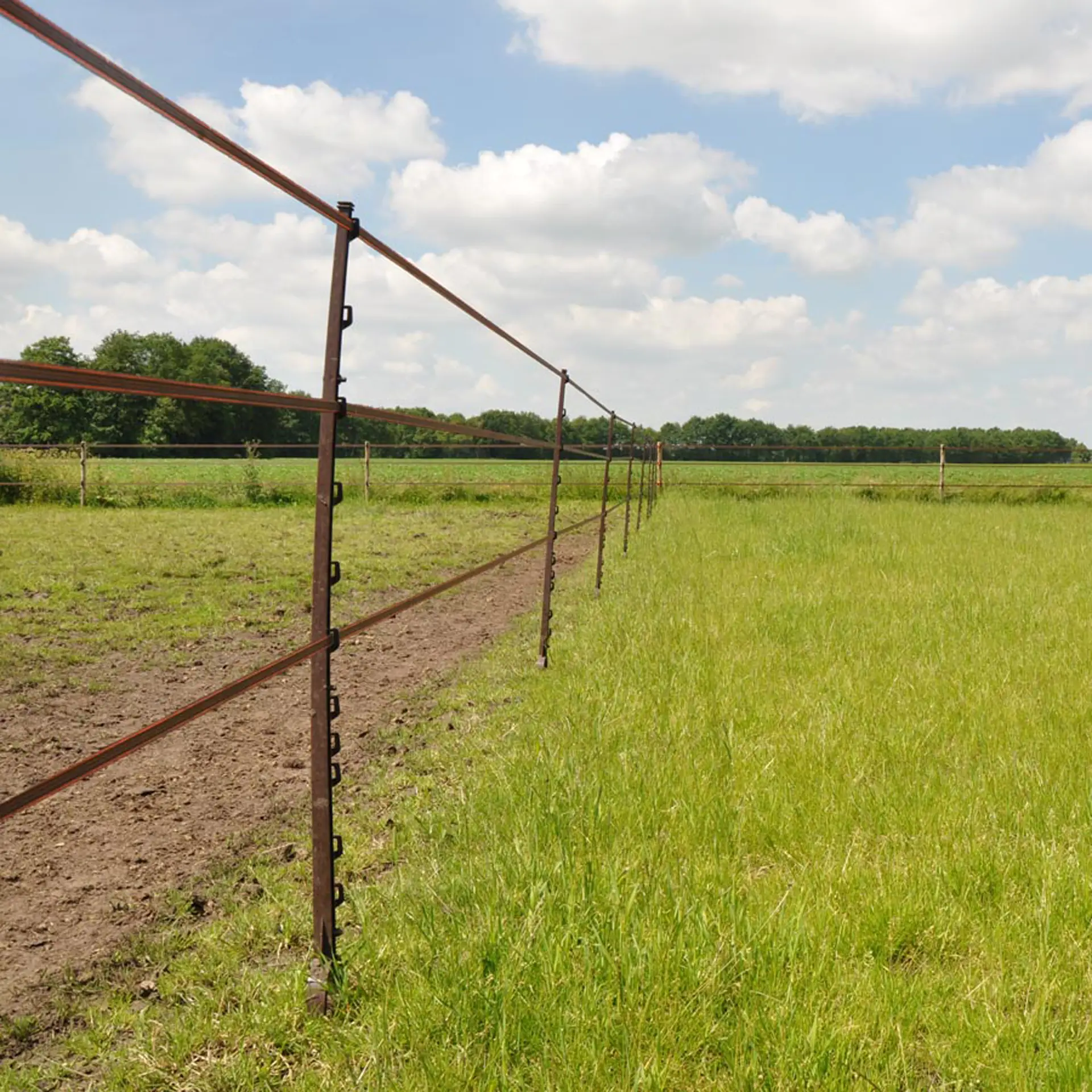 Paardenpost terra 1,55m (5) (4)