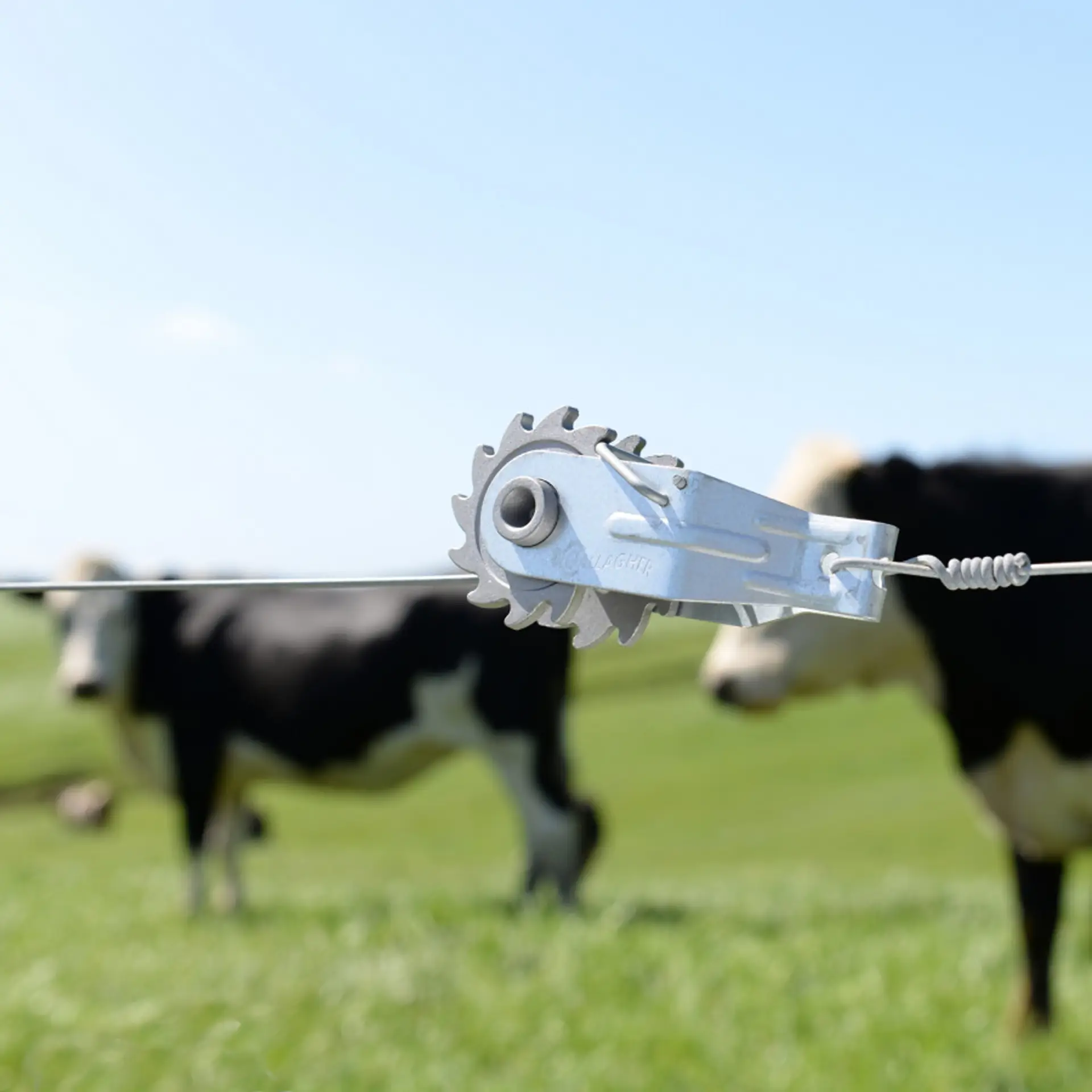Clip lock zeef (2) (3)