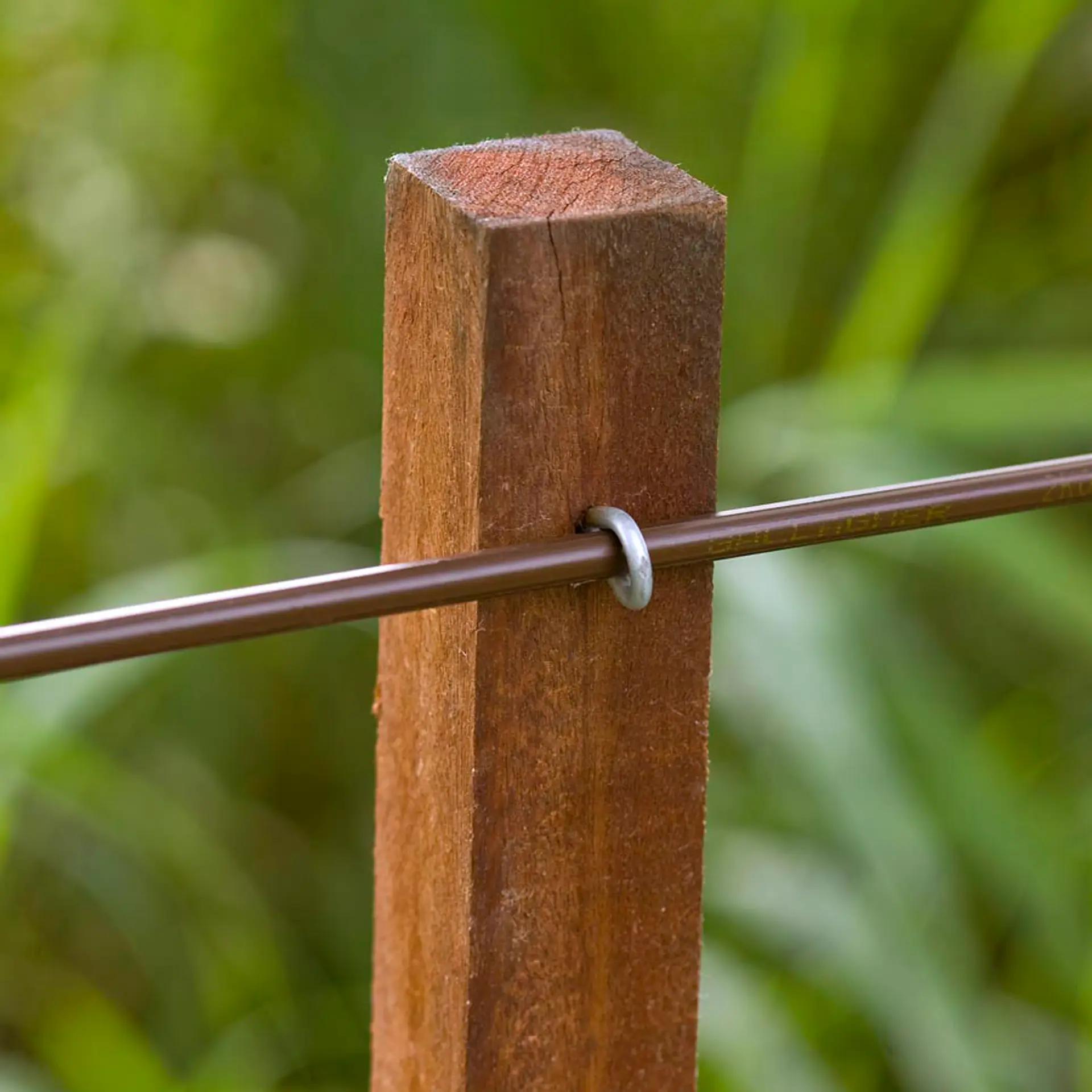 Equifence Terra 7,5 mm - 20 kg - 250 m (3)