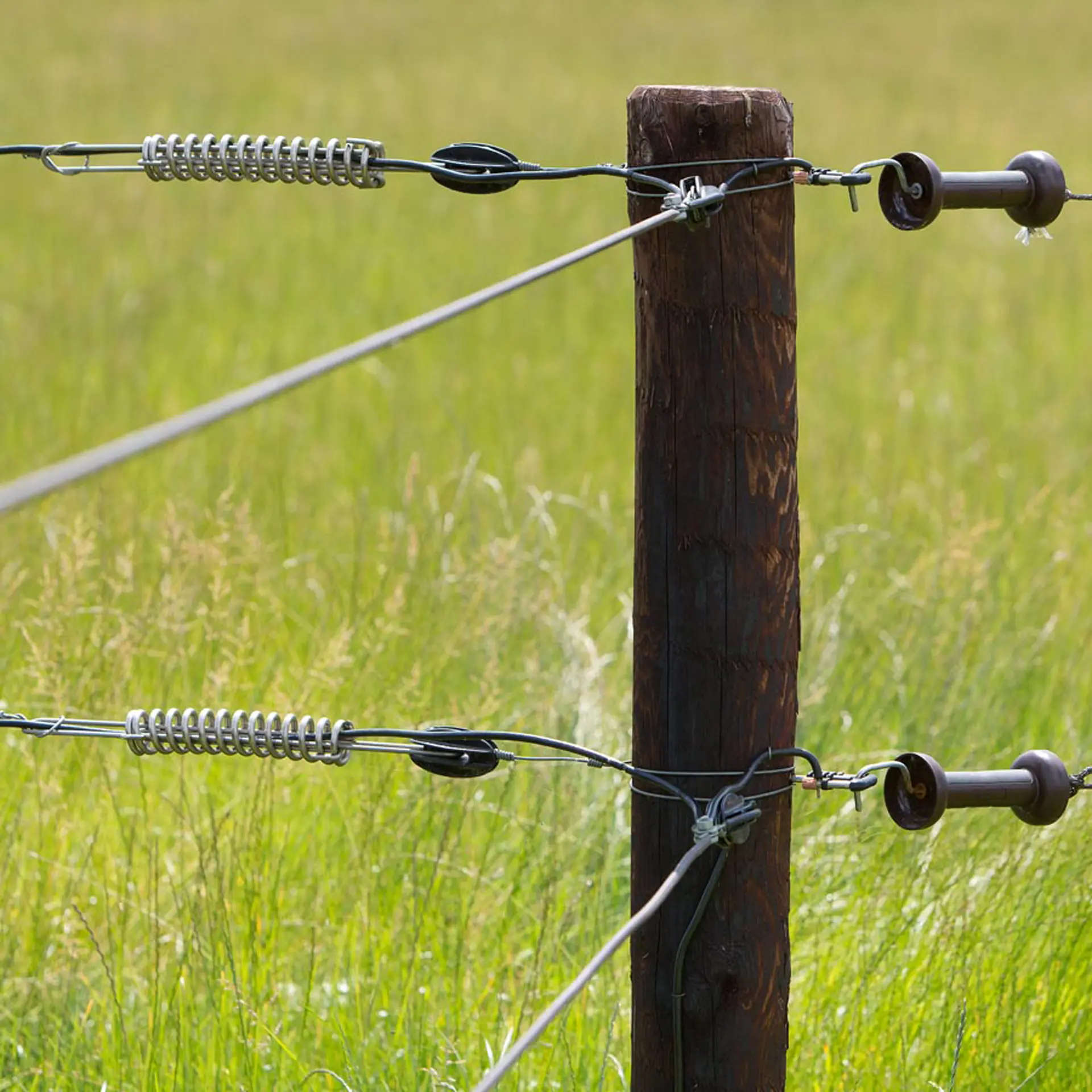 Equifence Terra 7,5 mm - 20 kg - 250 m (4)