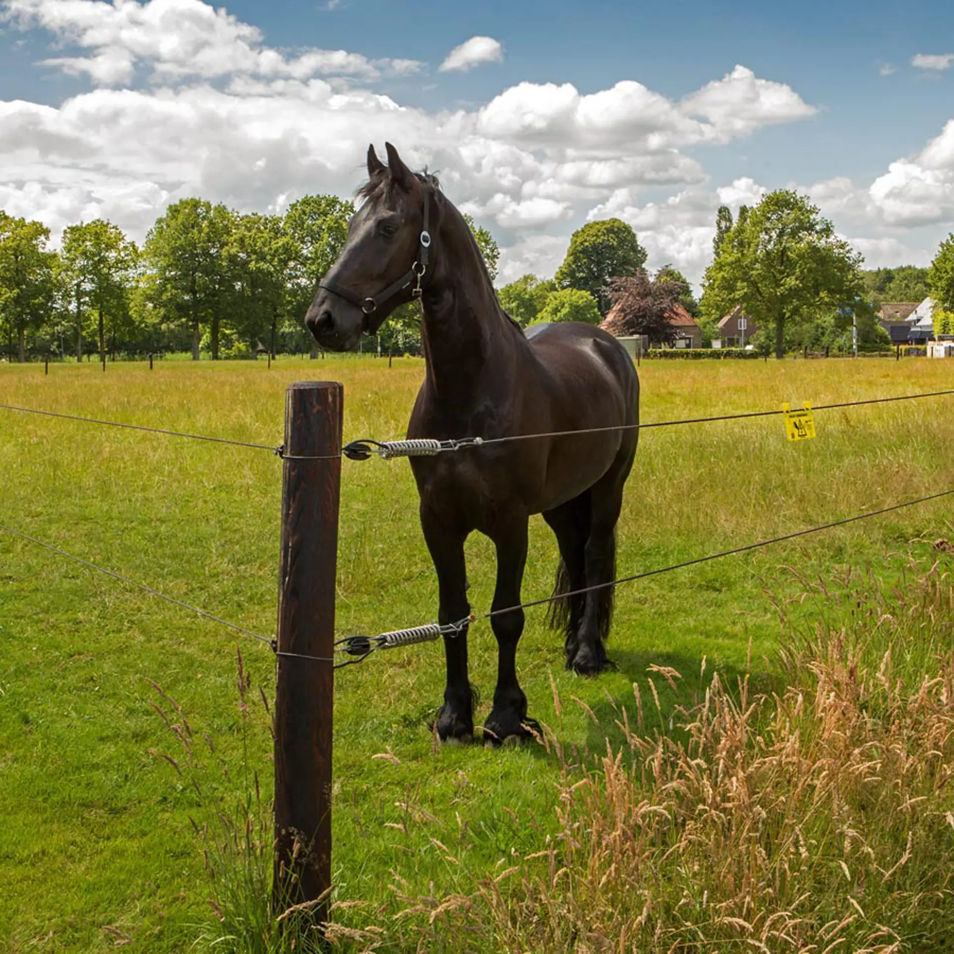 Equifence Terra 7,5 mm - 20 kg - 250 m (5)