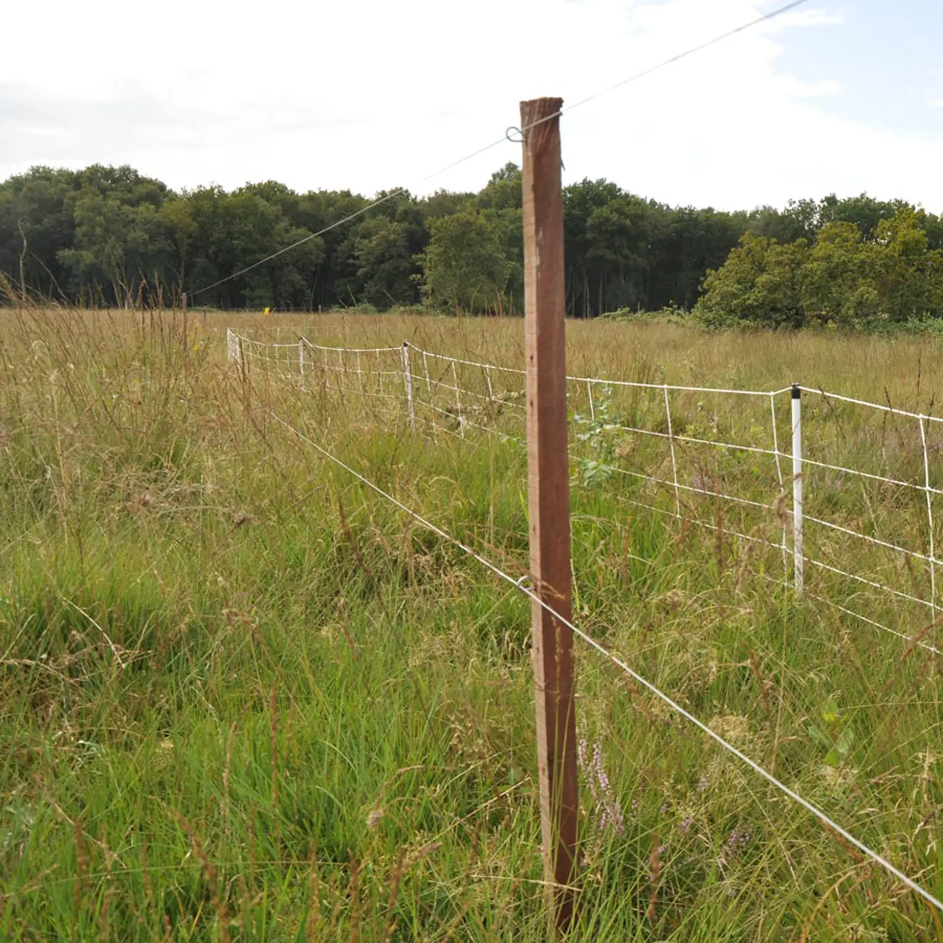 Clips lang voor Insultimber/Ecopost (1000) (5)