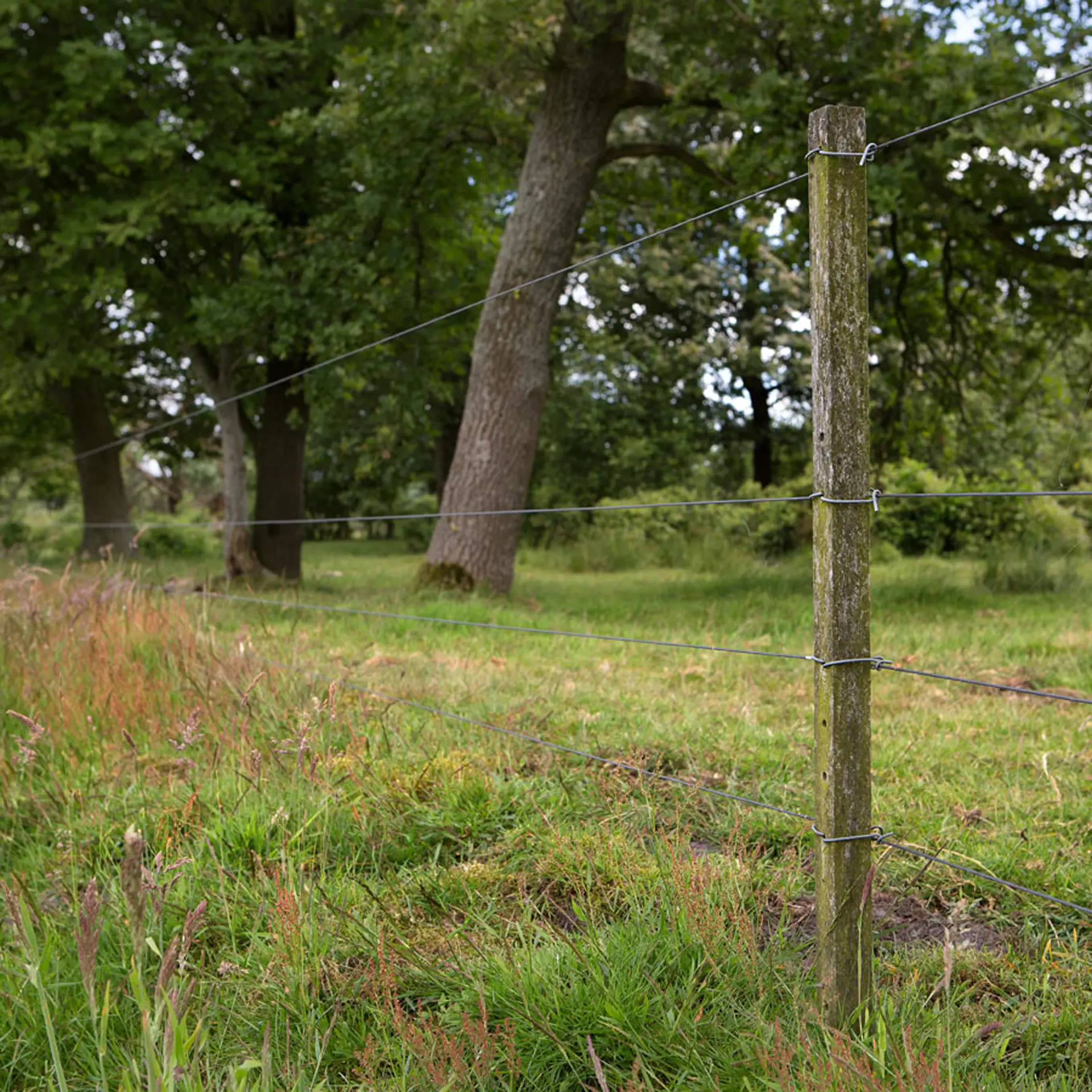 Clips lang voor Insultimber/Ecopost (1000) (7)