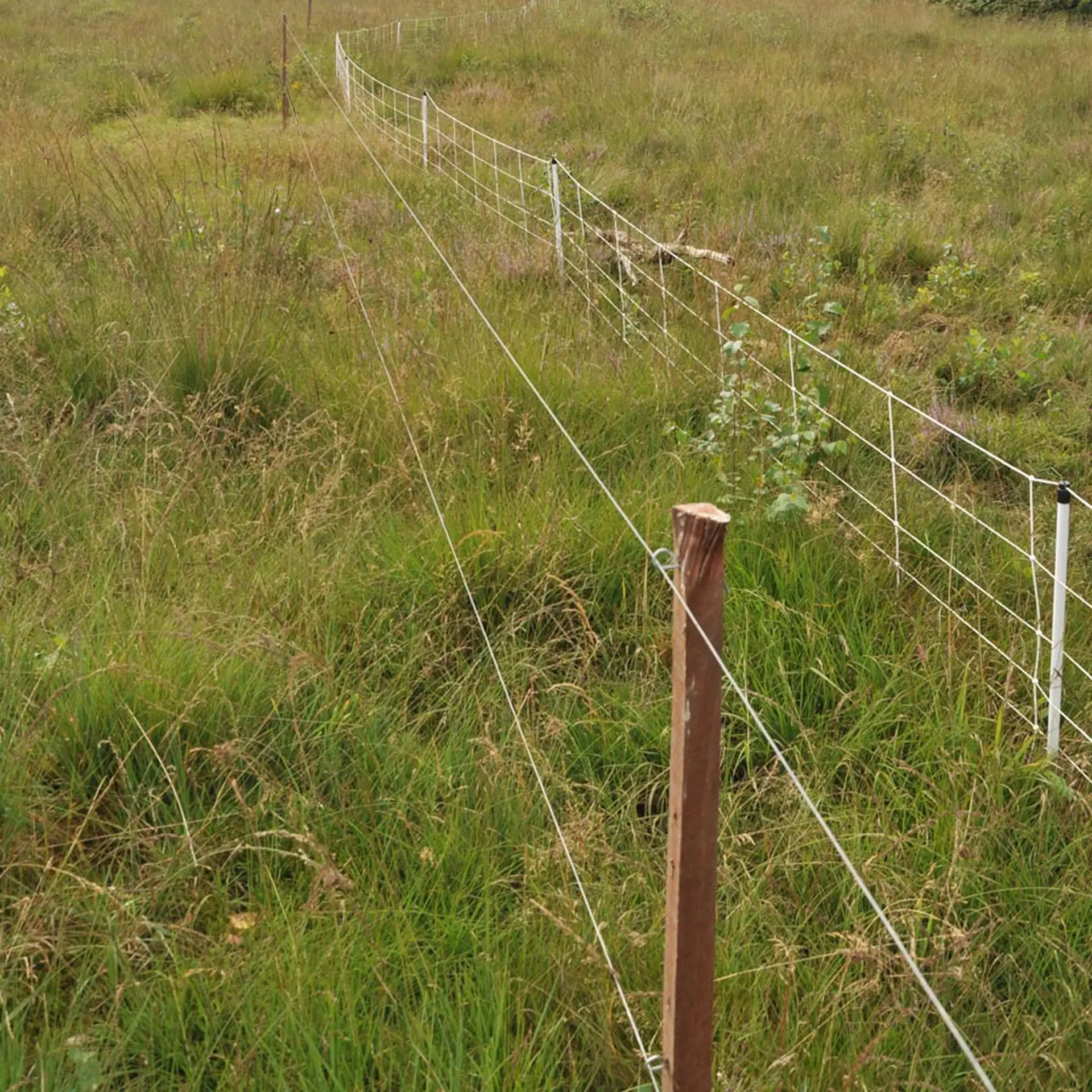 Clips kort voor Insultimber/Ecopost (1000) (4)