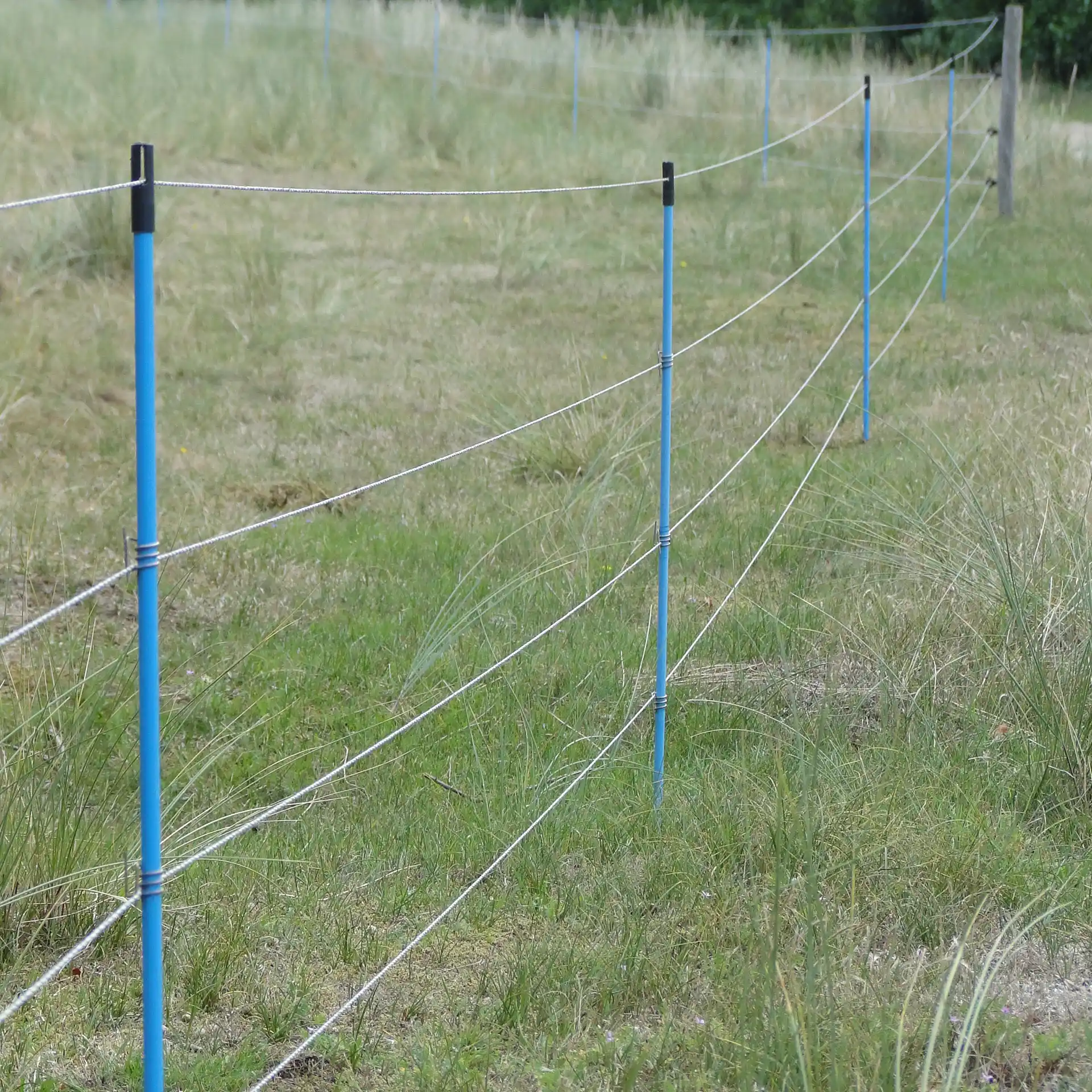 Kunststof paal blauw 13 mm 1,50 m (10) (6)