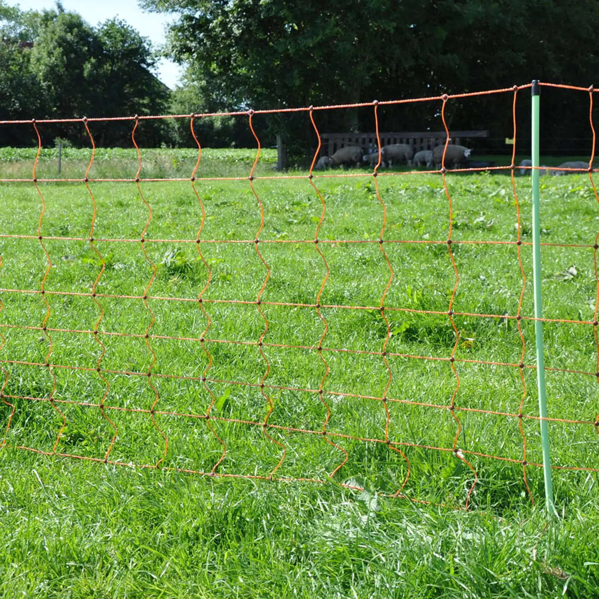 Schapennet, Oranje 90/2-14/G-50m (7)