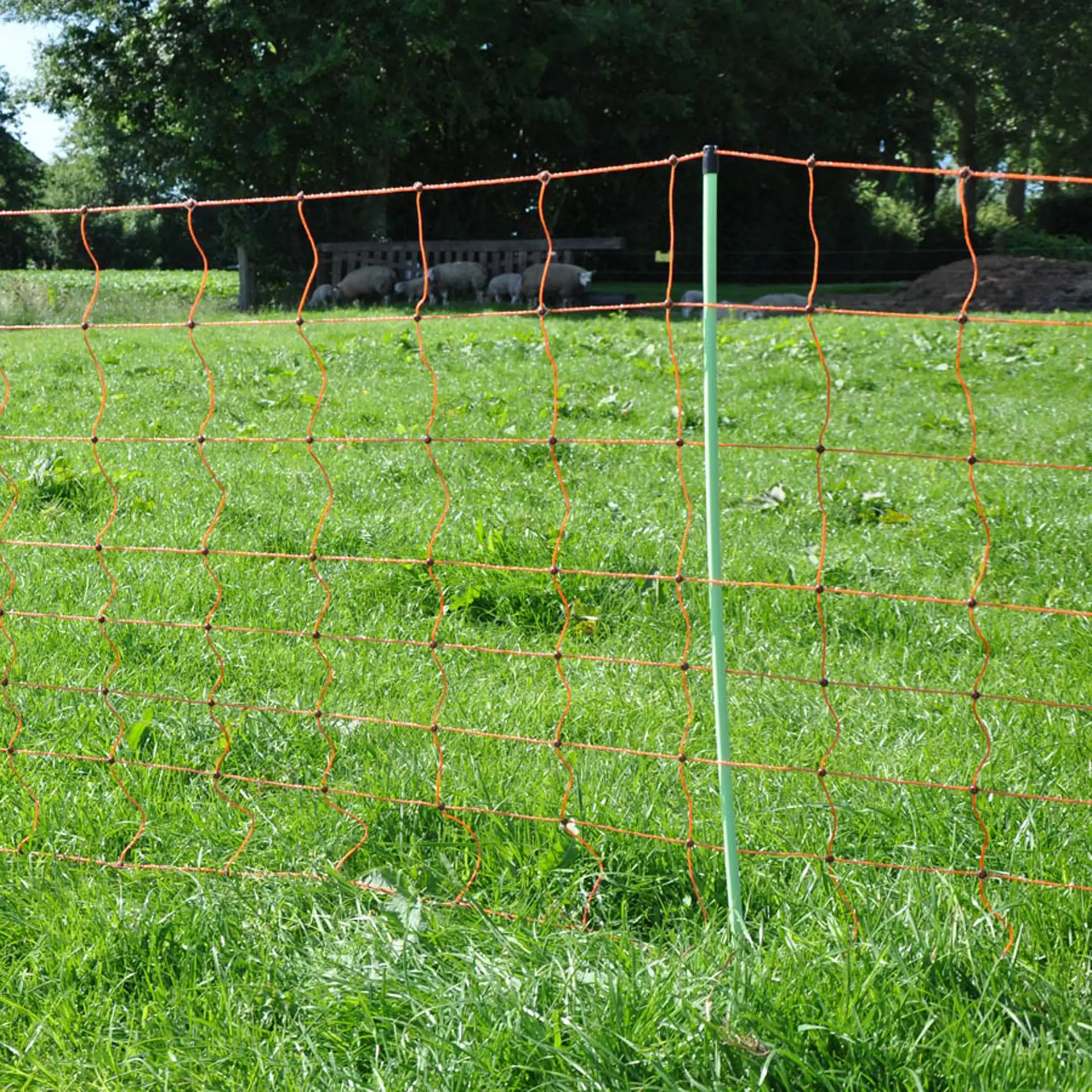 Schapennet, Oranje 90/1-14/G-50m (5)