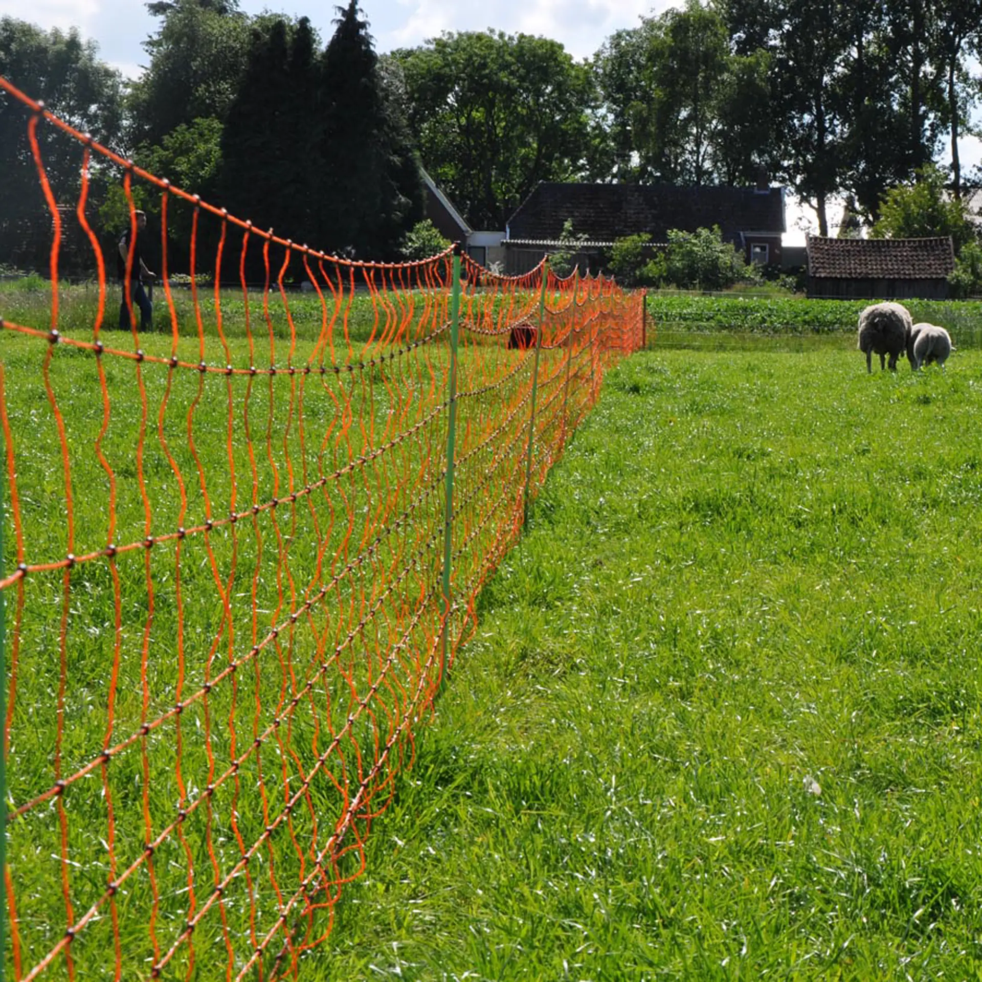 Schapennet, Oranje 90/1-14/G-50m (7)
