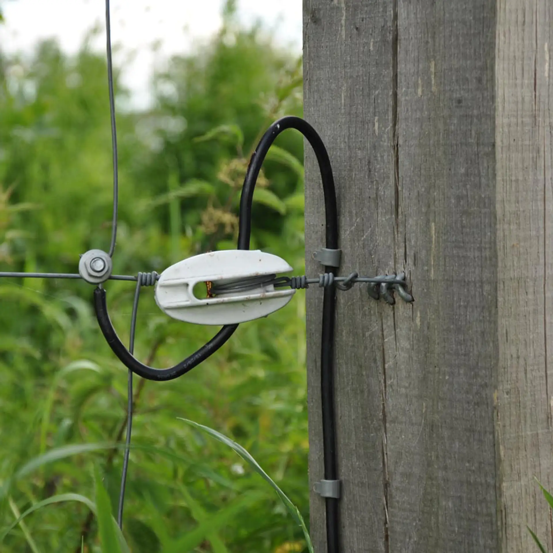 Aansluitkabel 1,6 mm 50 m 100 Ohm/km (3)