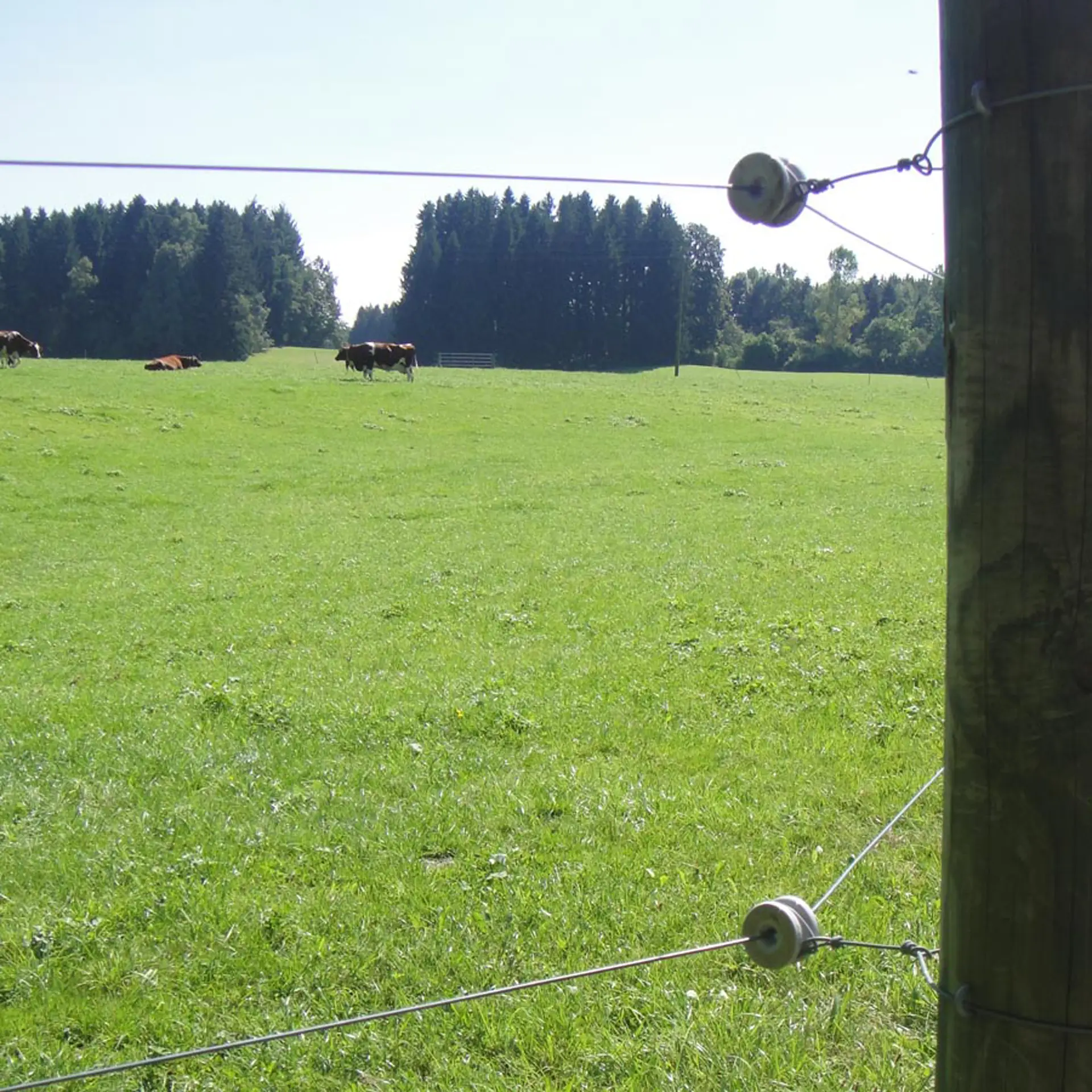 Porseleinen hoekisolator (6) (2)