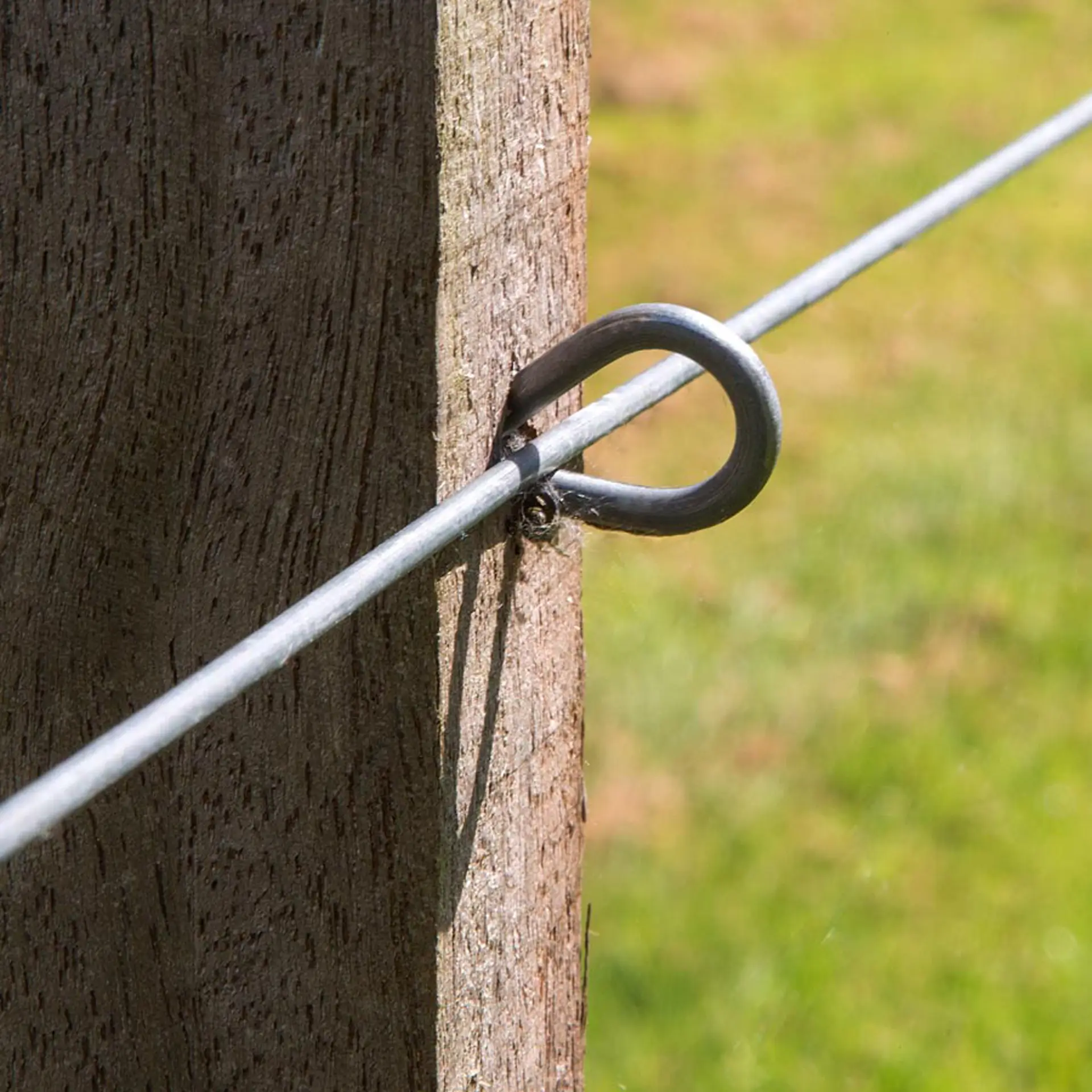 Clips lang voor Insultimber/Ecopost (50) (3)
