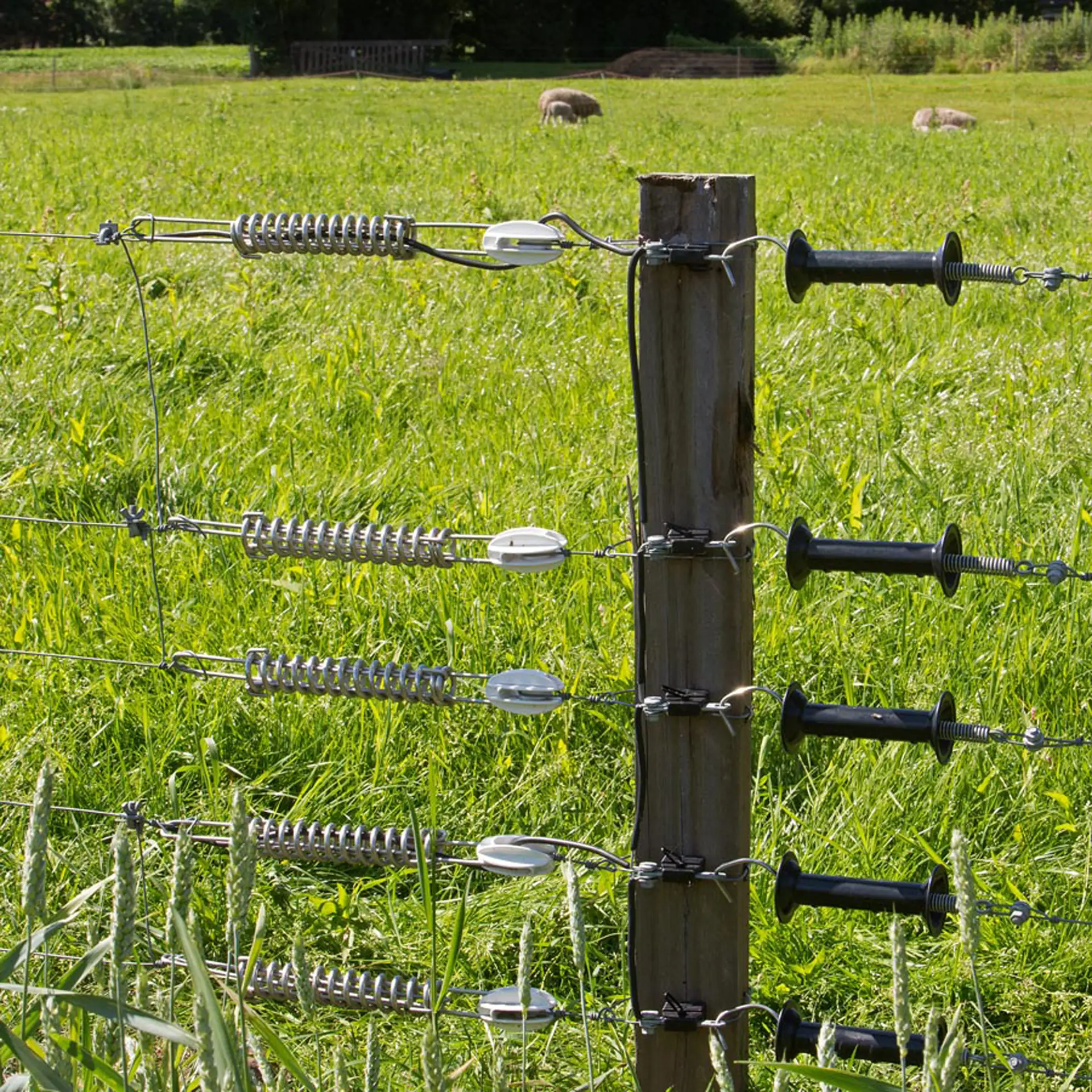 Versterkte trekisolator wit (5) (5)