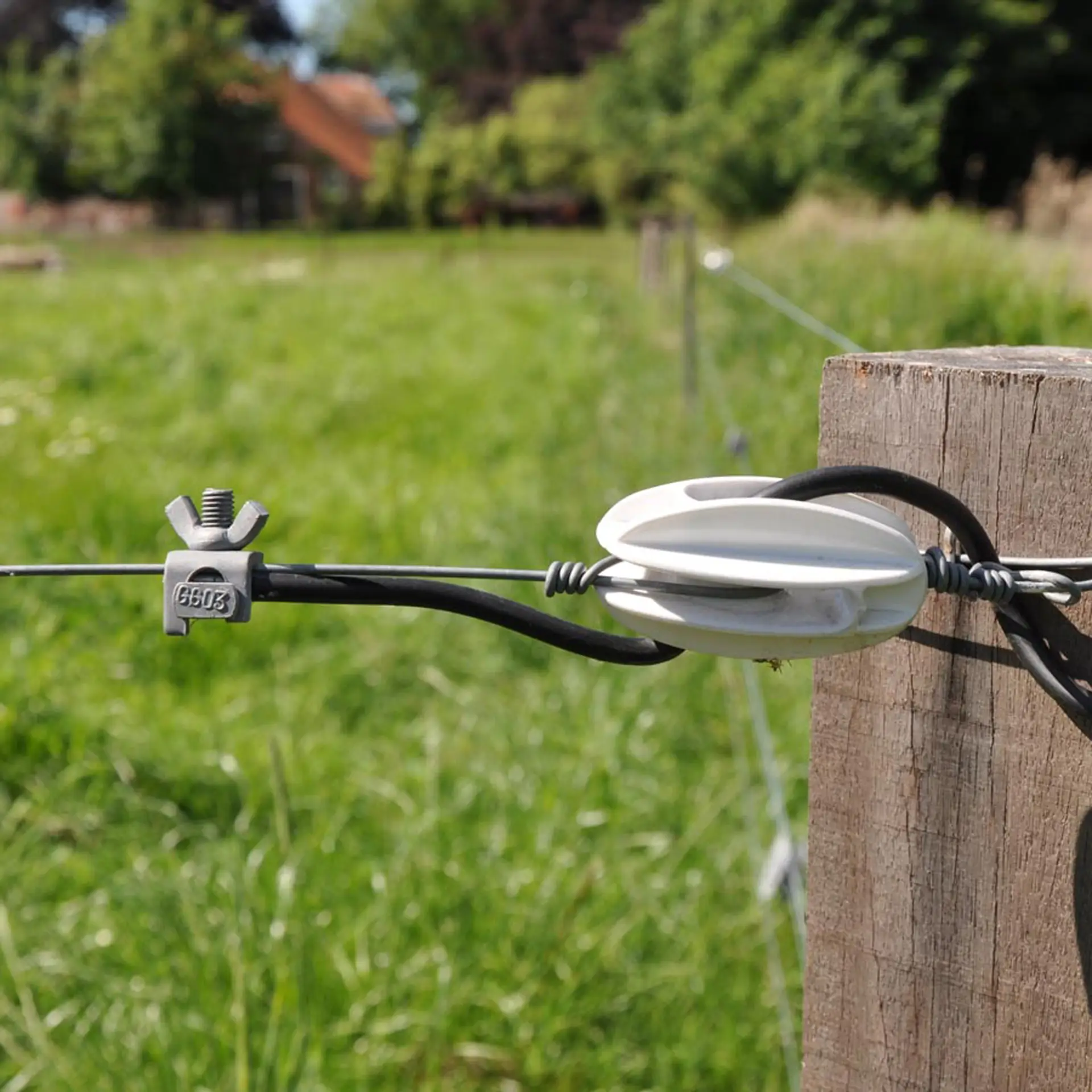 Hoekverbindingsklem met vleugelmoer (10) (3)