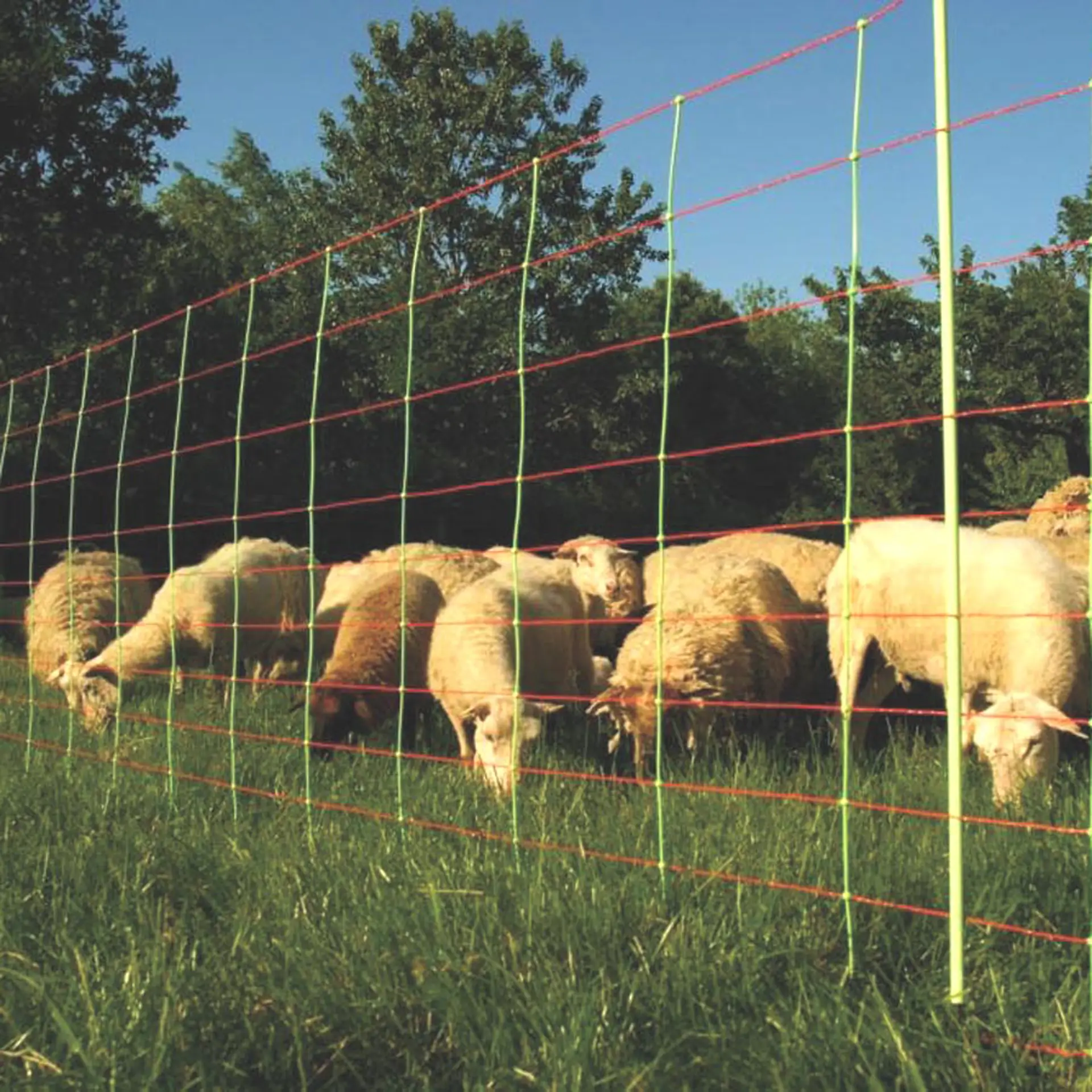 Schapennetcombinatie, Oranje 90/1-14/G-50m (6)
