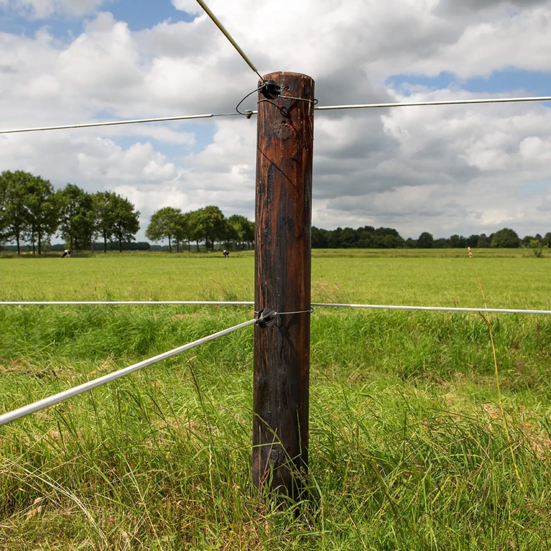 Equifence wit 7,5 mm - 20 kg - 250 m (4)
