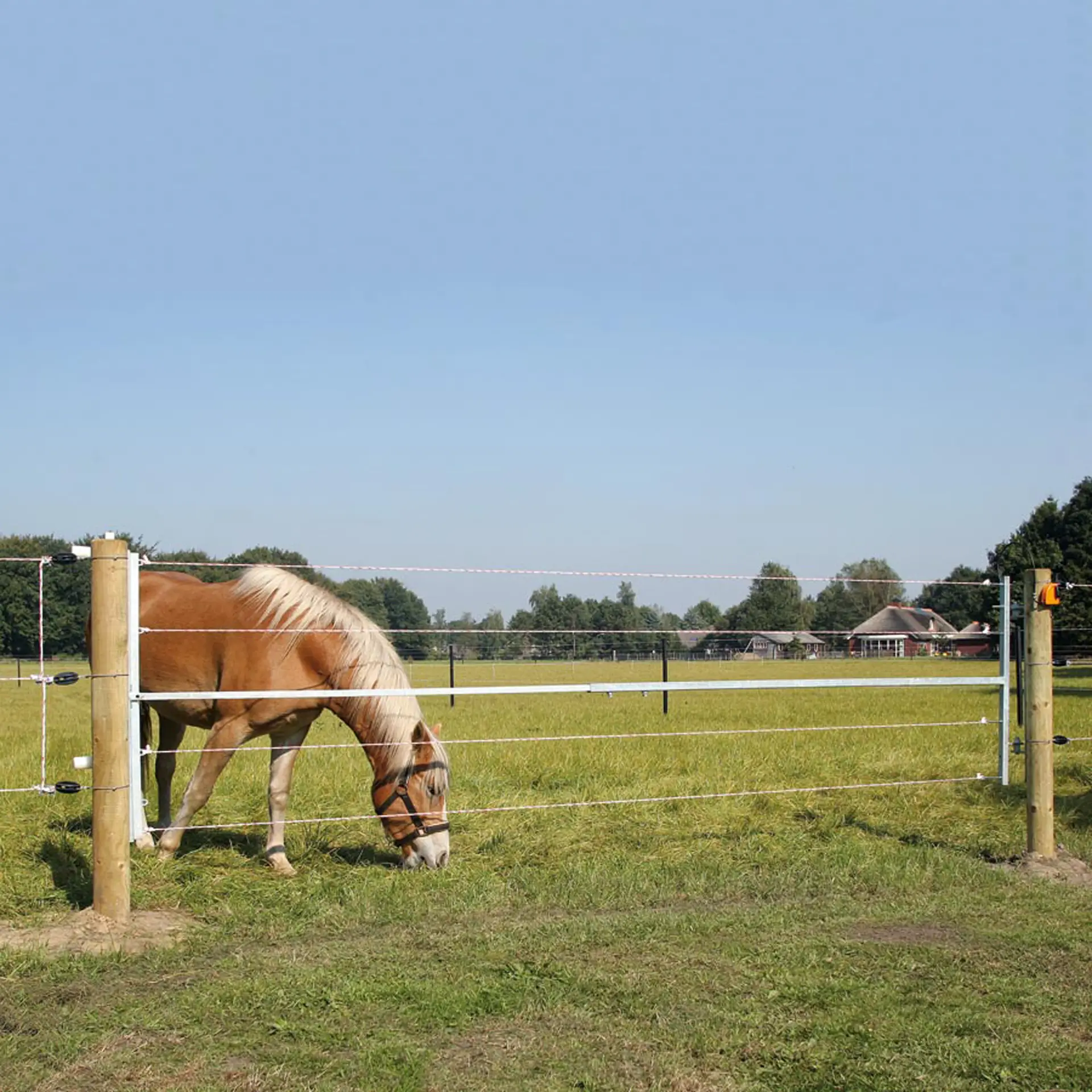 Gelektrificeerde stalen poort van 2,5 tot 4,5 meter.