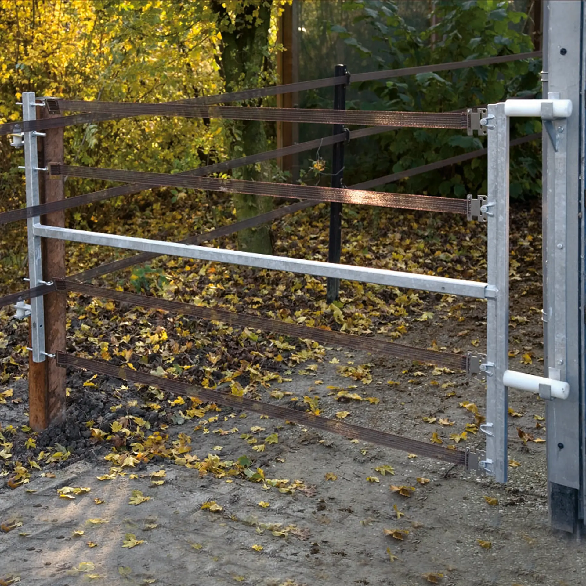 Gelektrificeerde stalen poort van 2,5 tot 4,5 meter. (4)