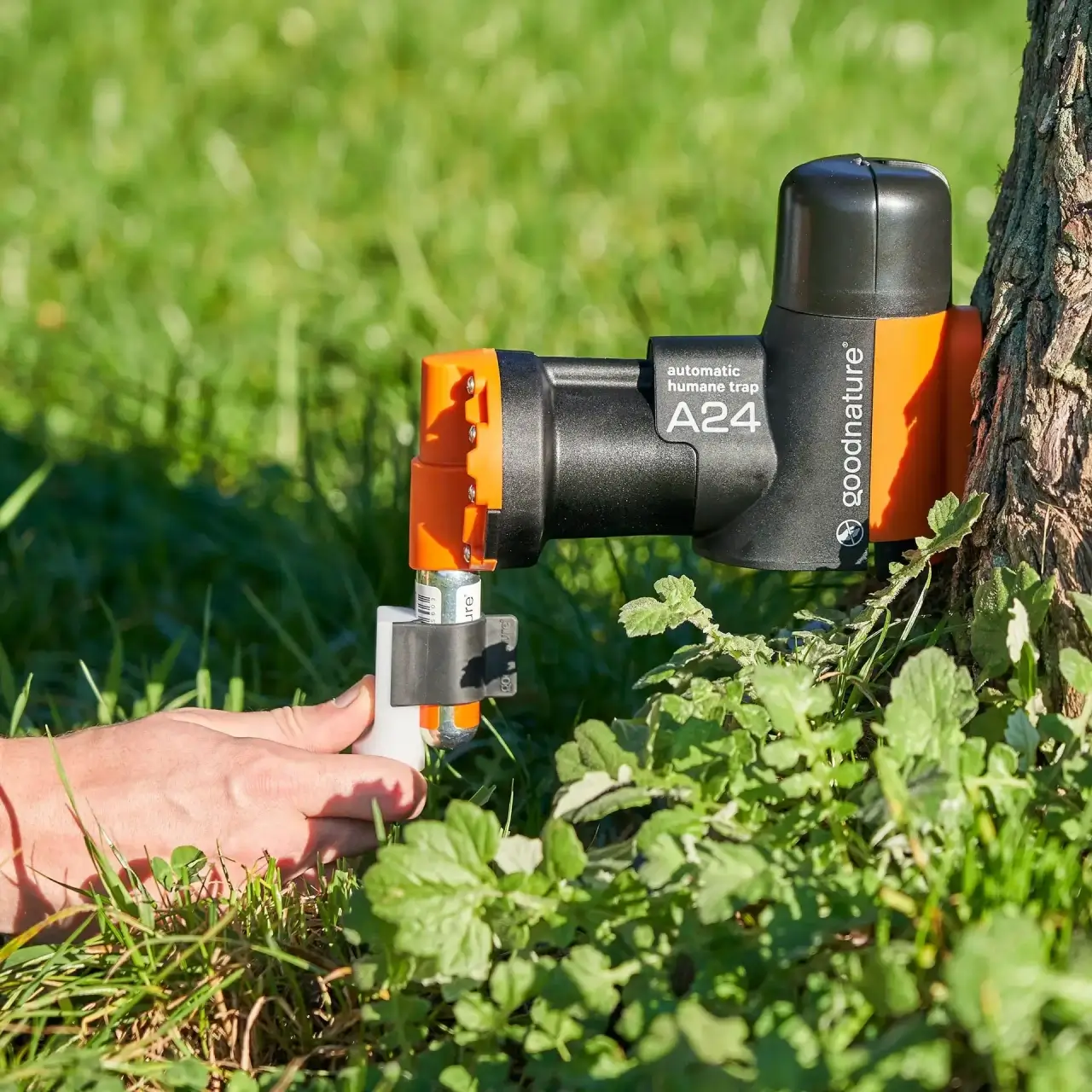 Digitale slagteller Goodnature A24