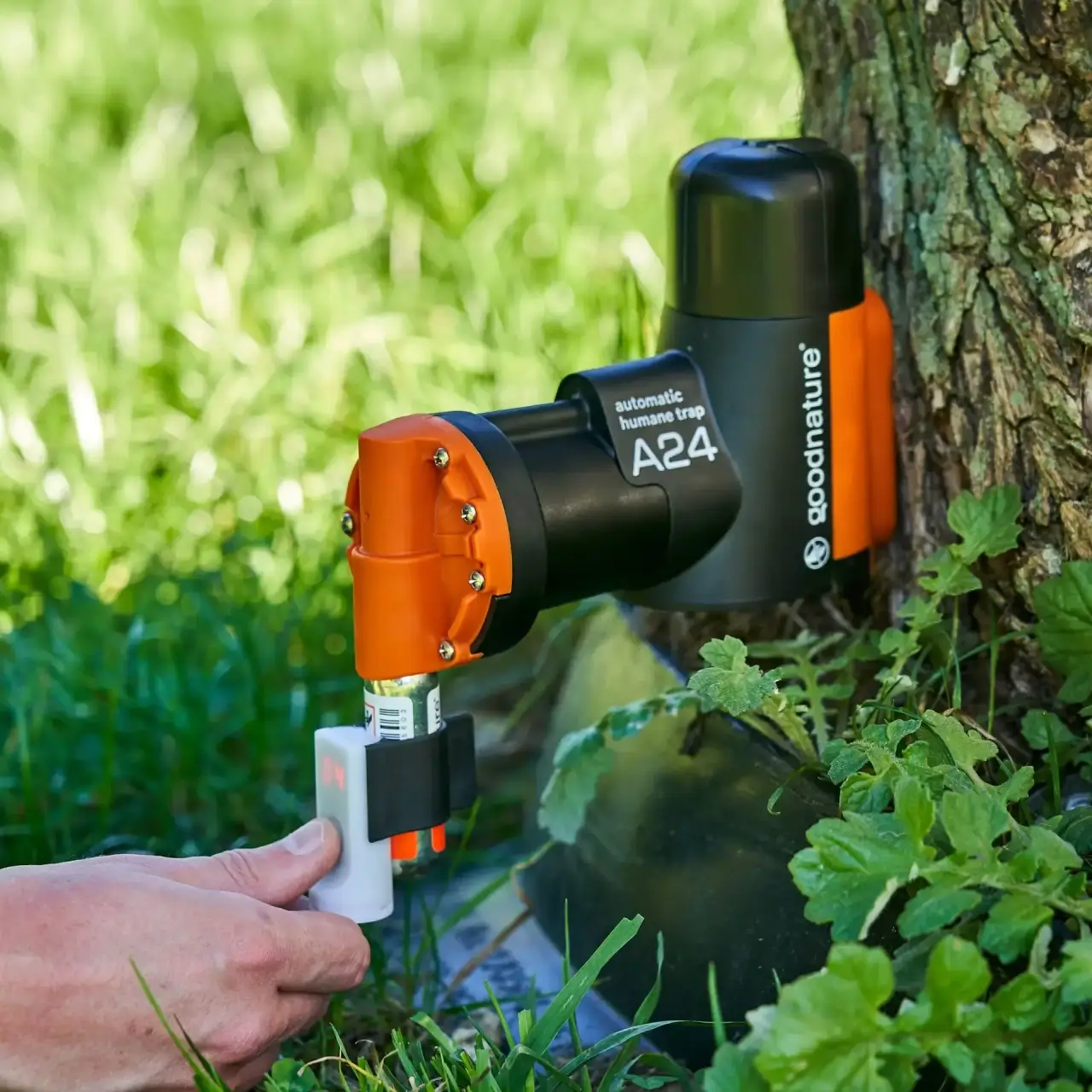Digitale slagteller Goodnature A24 (2)