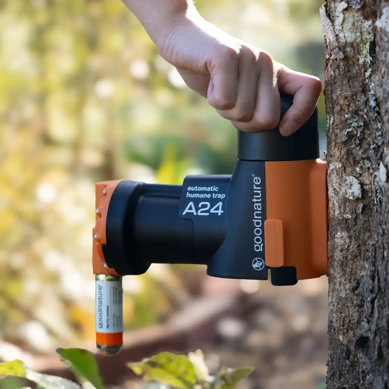 Goodnature Starter Trap Kit (4)