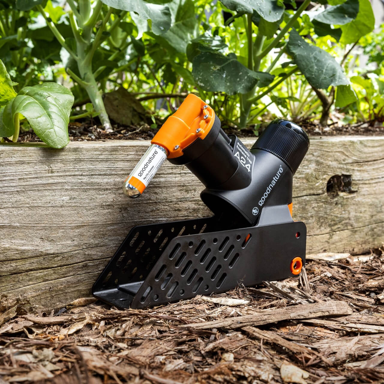 Goodnature Smart Trap Kit (3)